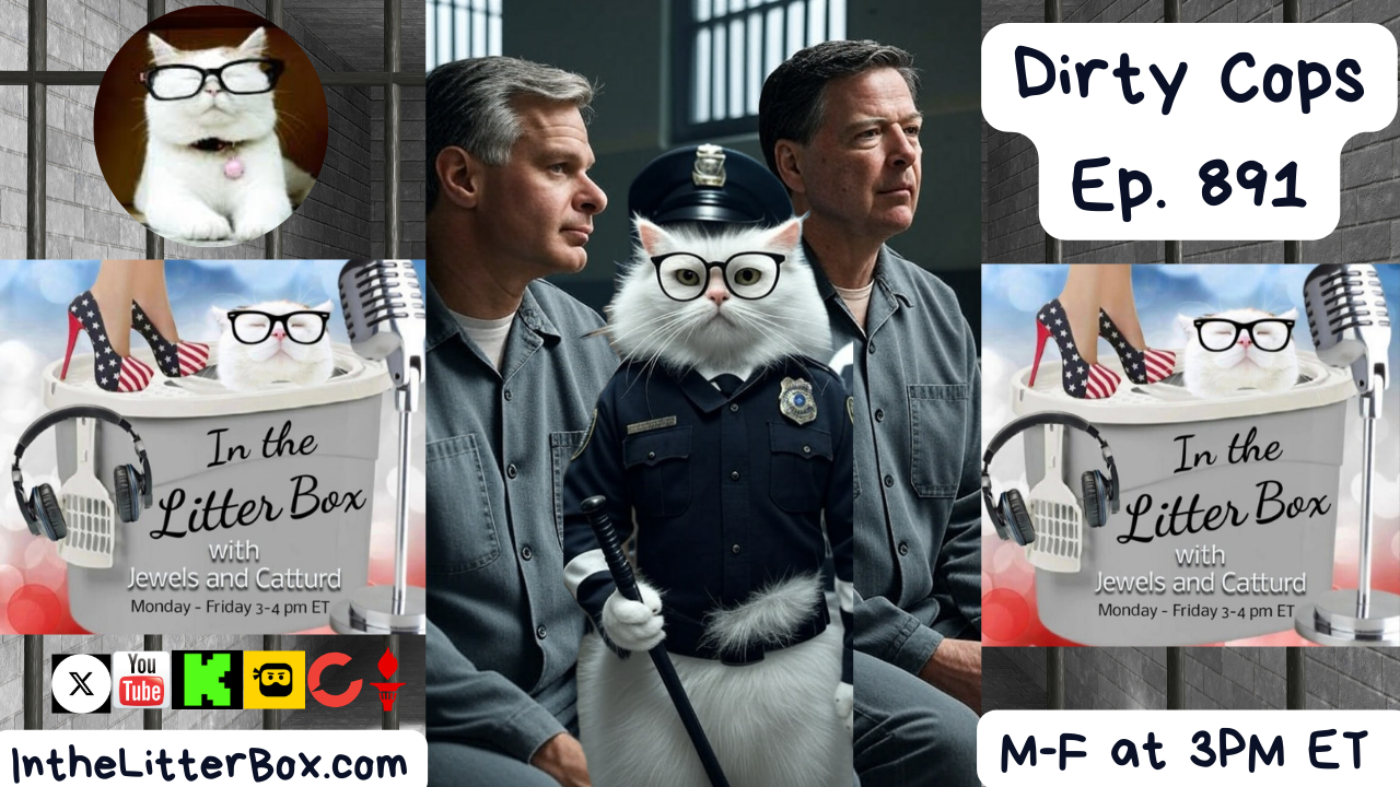 Dirty Cops | In the Litter Box w/ Jewels & Catturd – Ep. 891 - 9/29/2025