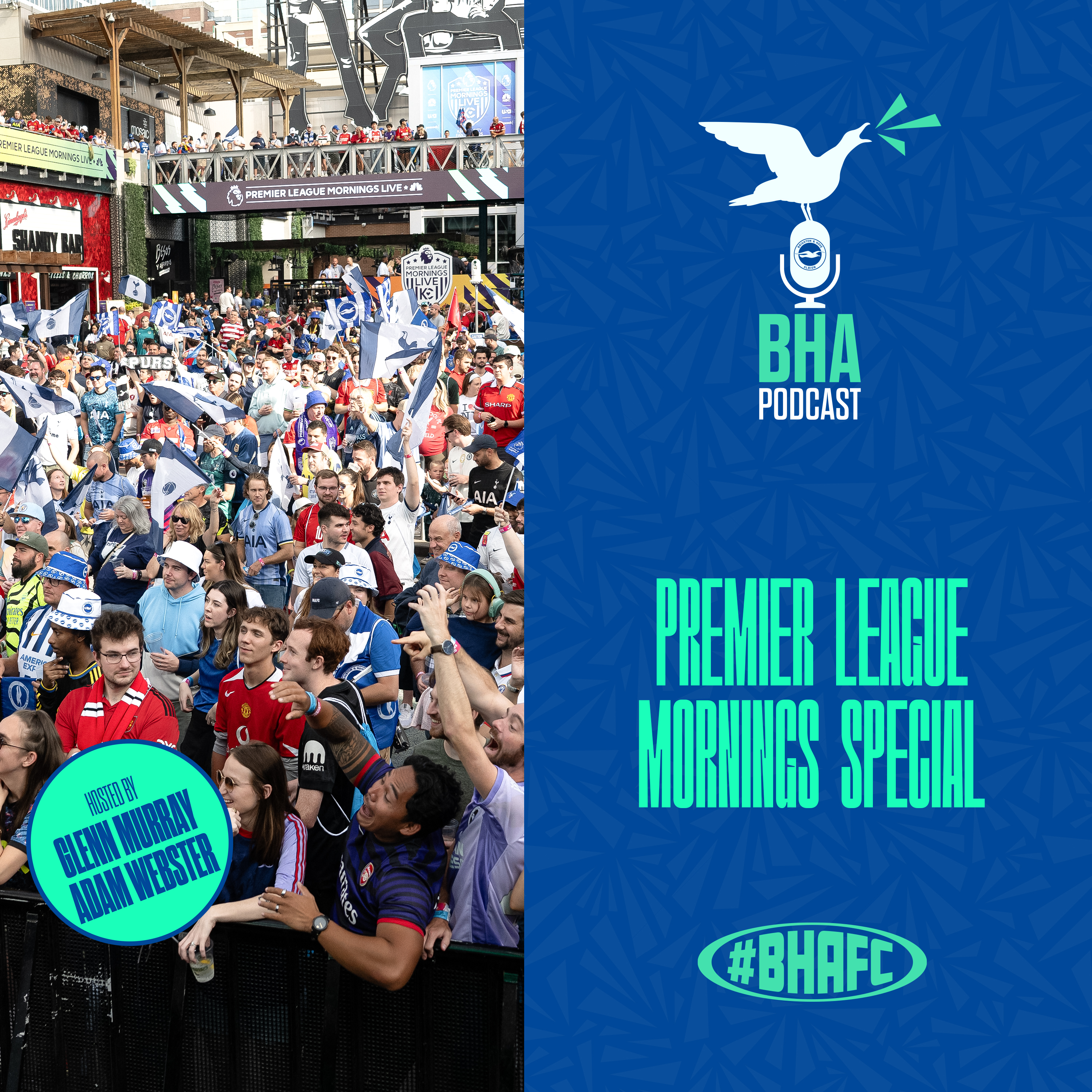 The Official Brighton and Hove Albion Podcast