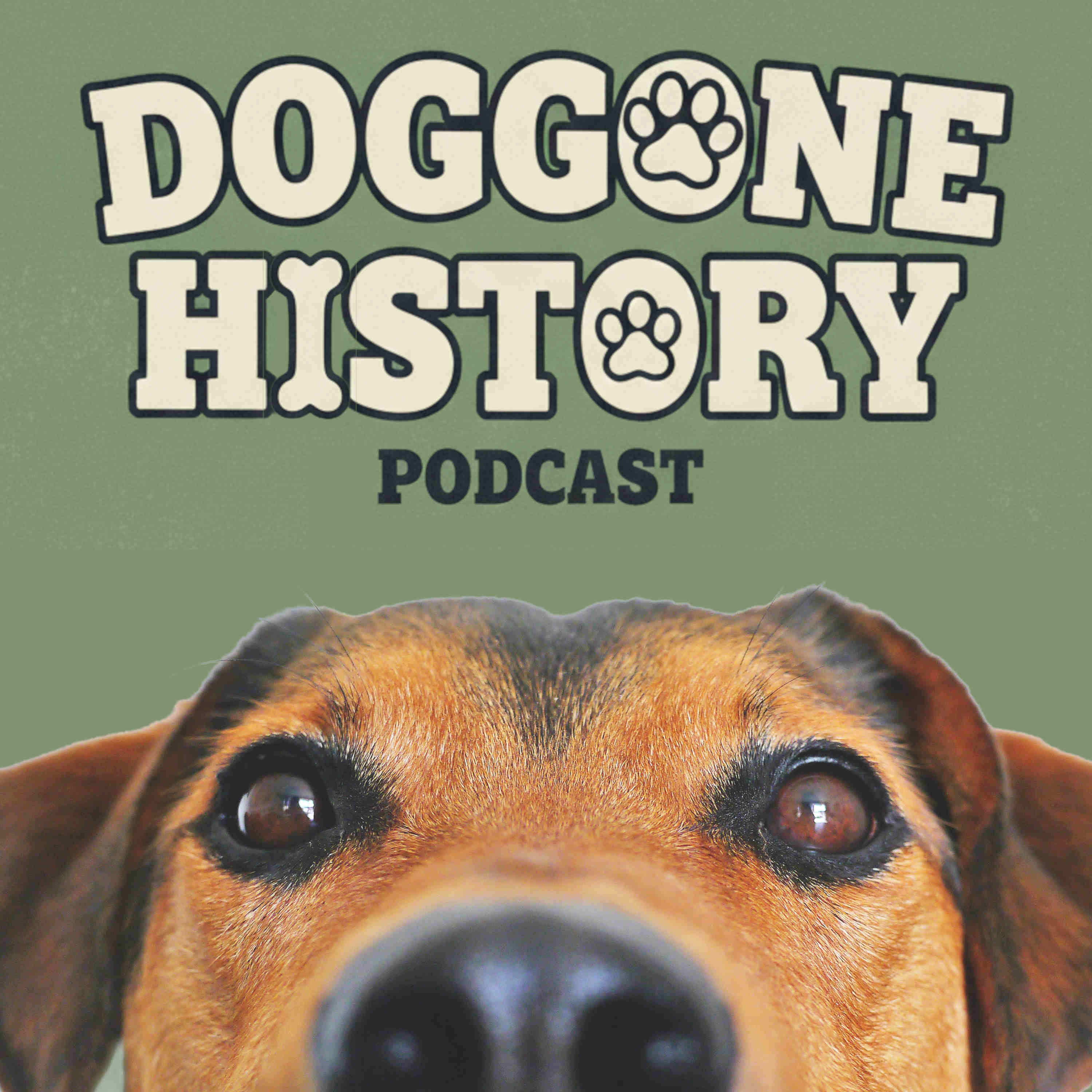 Doggone History