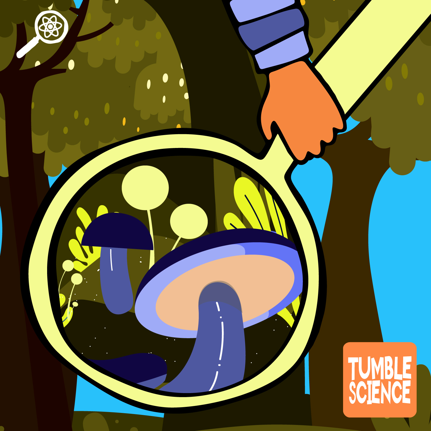 Thumbnail for "Do Trees Think?".