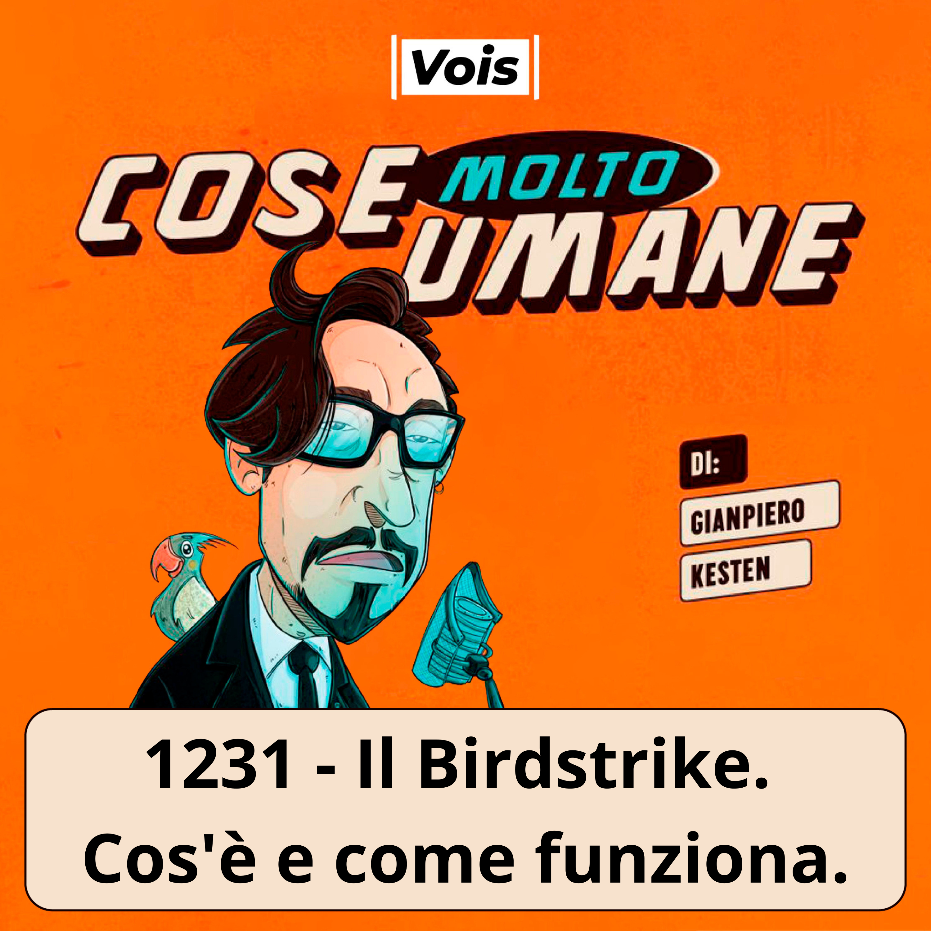1231 - Il Birdstrike. Cos'è e come funziona.