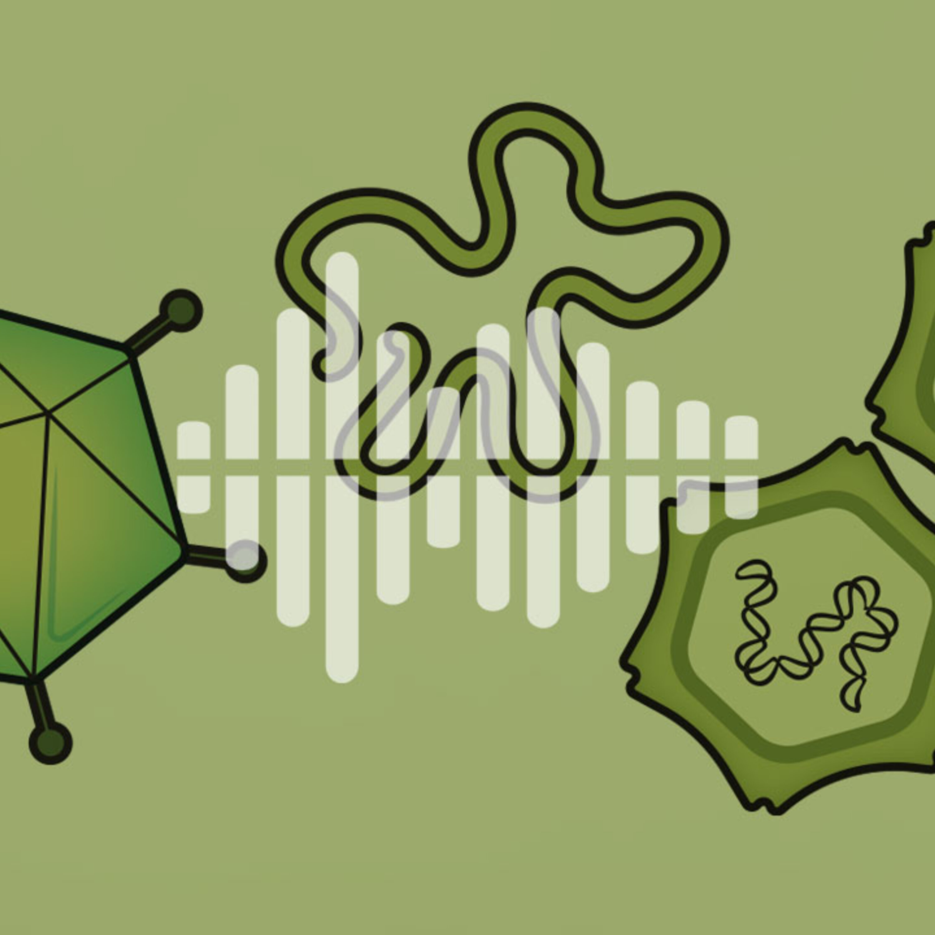A surprisingly weighty fundamental particle, and surveying the seas for RNA viruses