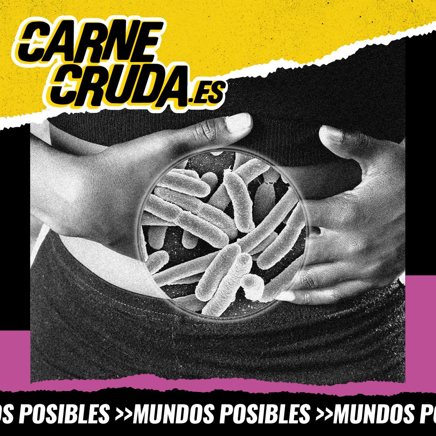 SIBO: el malestar del que todo el mundo habla (MUNDOS POSIBLES - CARNE CRUDA TOUR #1371)