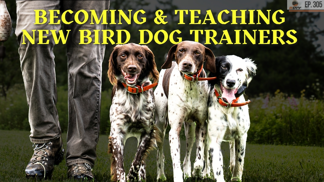 305. Becoming and Teaching NEW Bird Dog Trainers