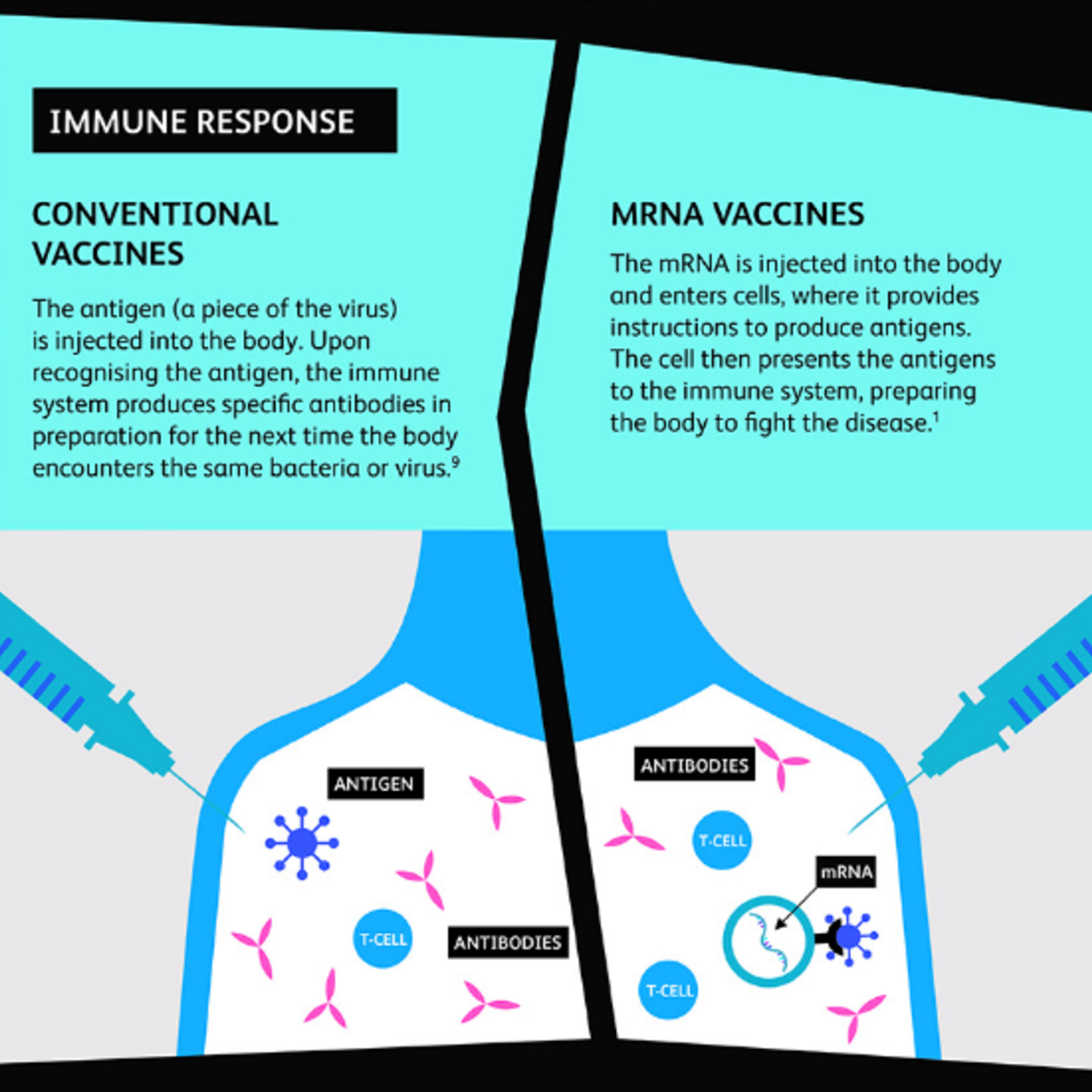 Bieber Said All The Right Things And A COVID Vaccine Is Now Approved episode artwork