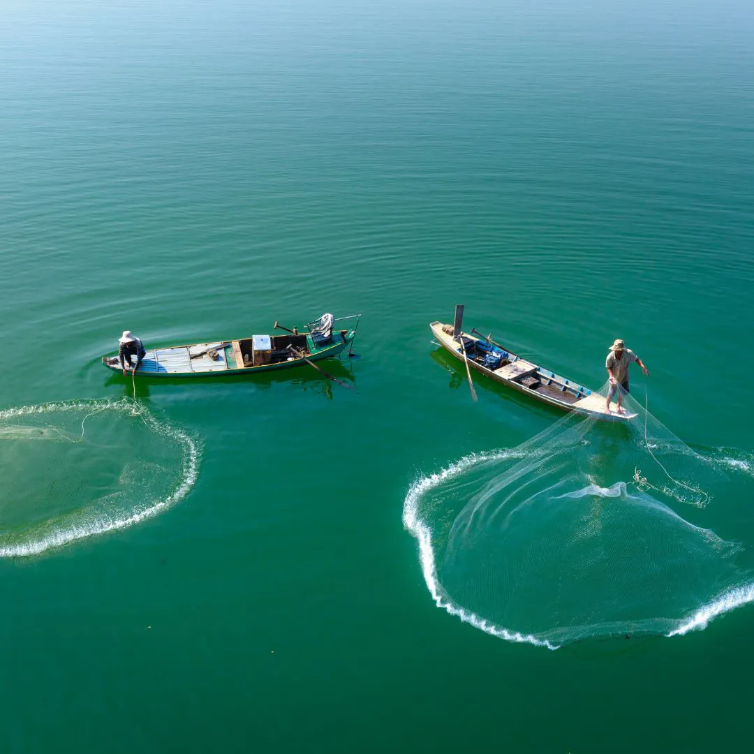 Qu’est-ce que la senne démersale, cette technique de pêche intensive ?