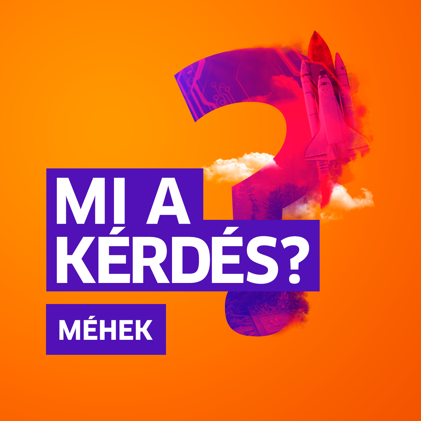 Miért múlik az életünk a méheken? | Mi a kérdés? Kutasi Tamással episode artwork