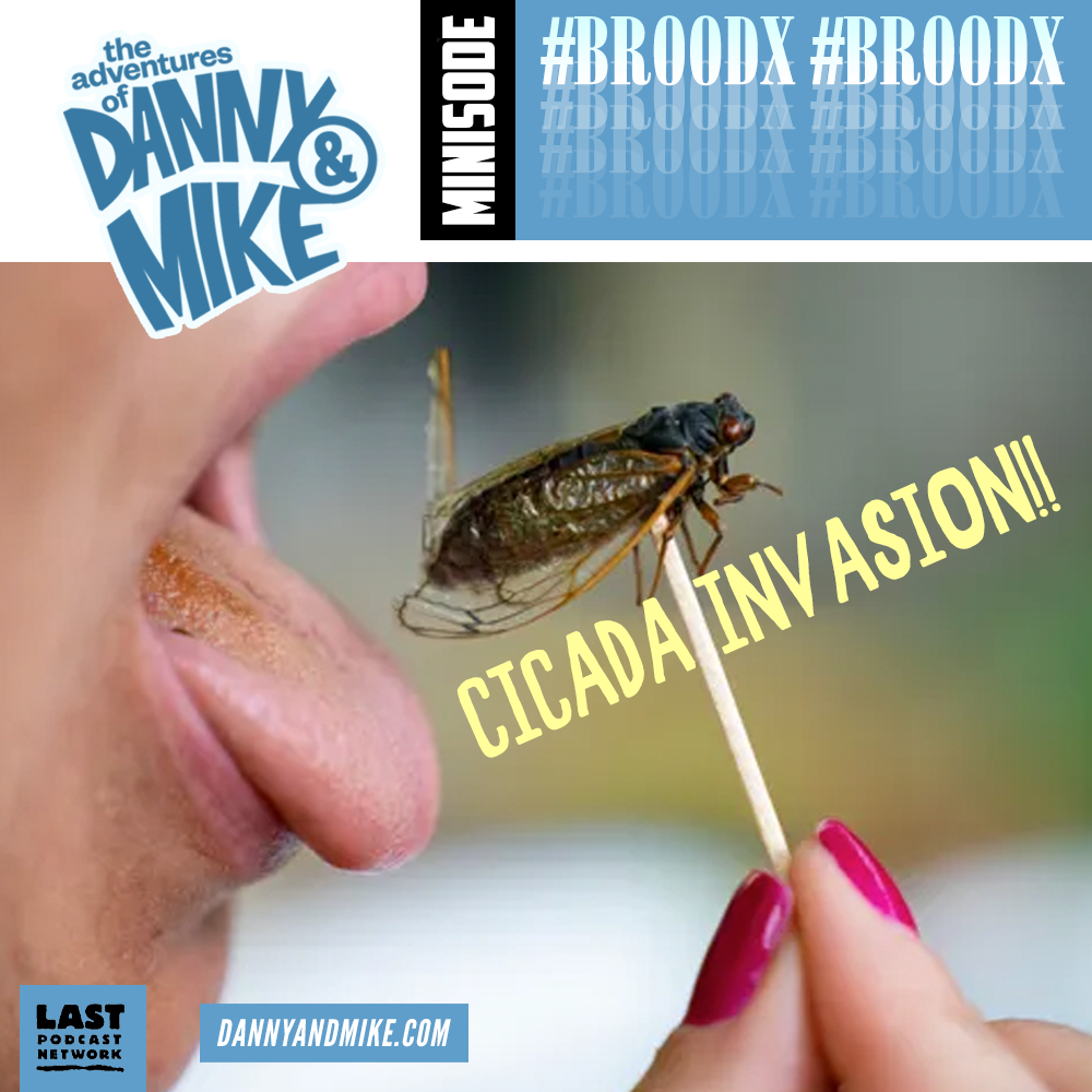 Minisode 53 - BROOD X