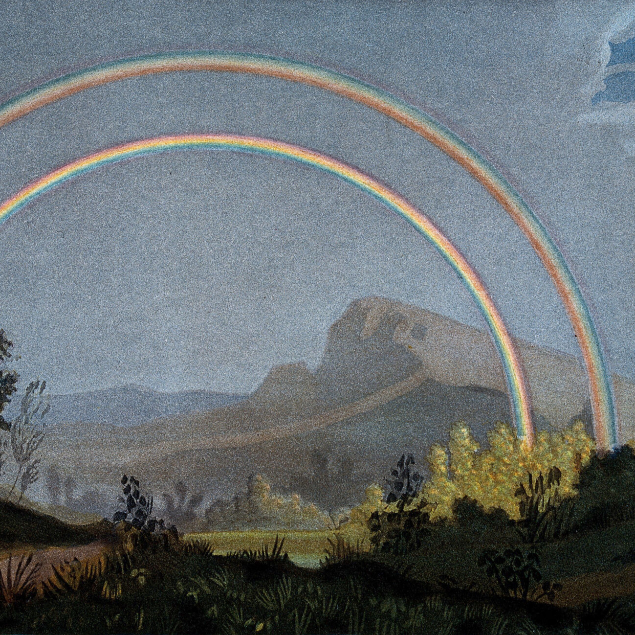 Emotions of LGBT Rights