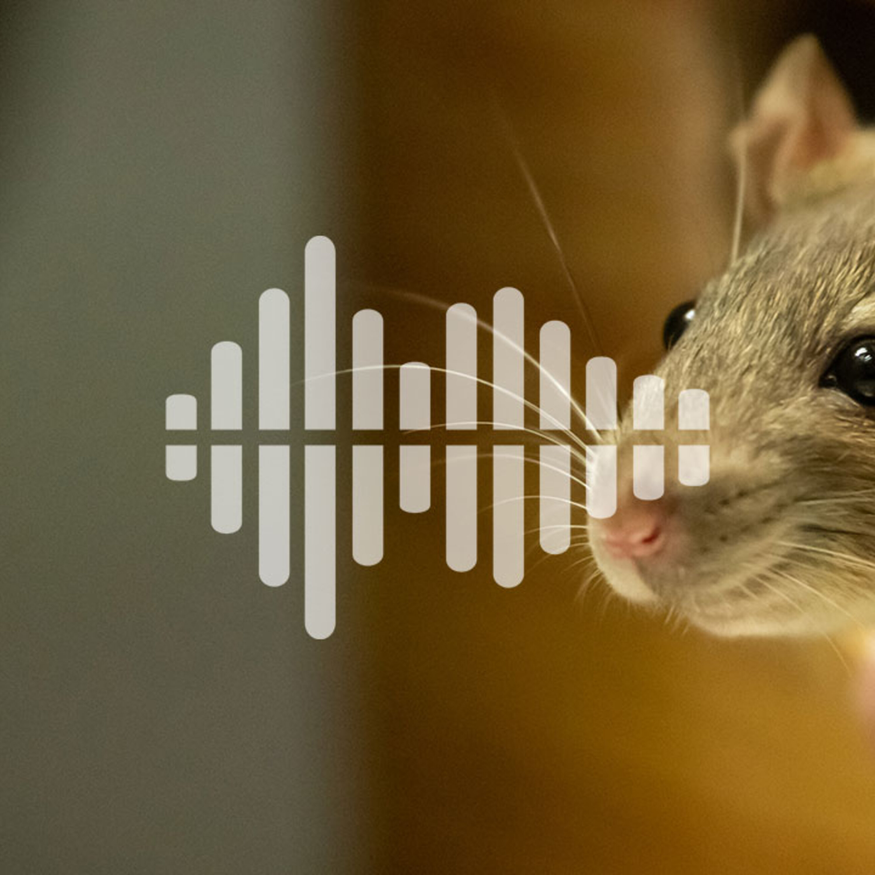 The challenges of testing medicines during pregnancy, and when not paying attention makes sense