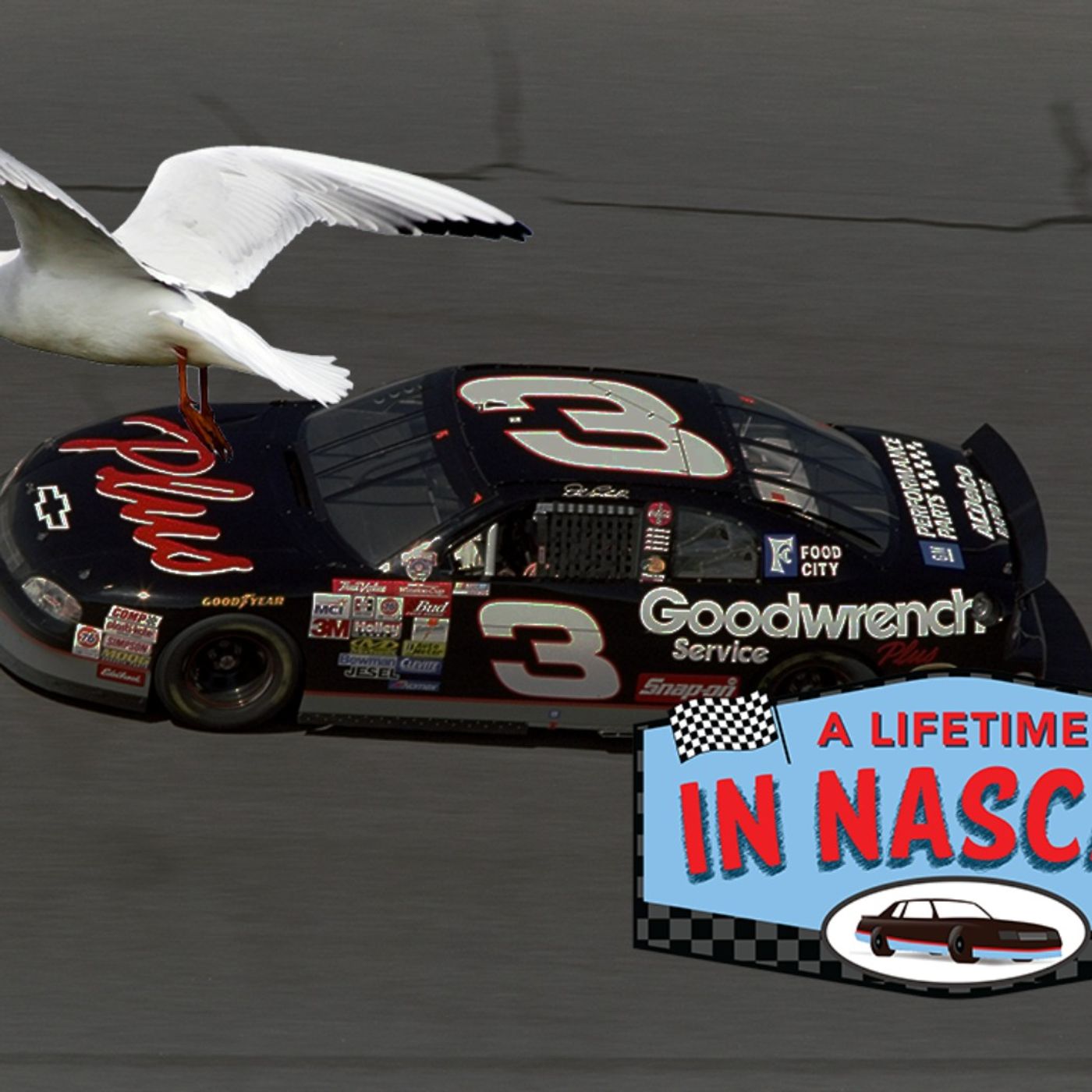 A Lifetime in Motorsports