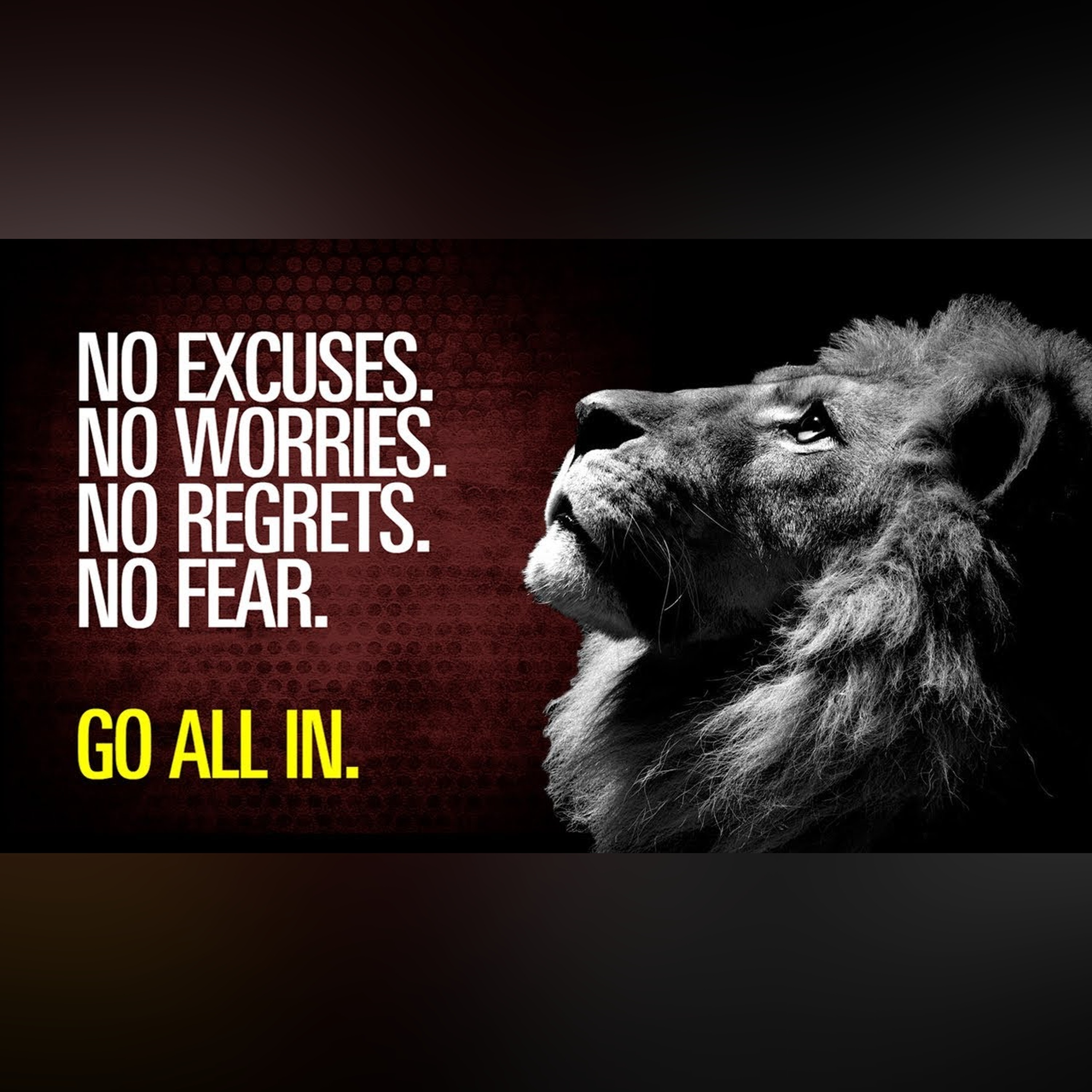 No Excuses, No Worries, No Regrets, No Fear! GO ALL IN! - Motivation for Success