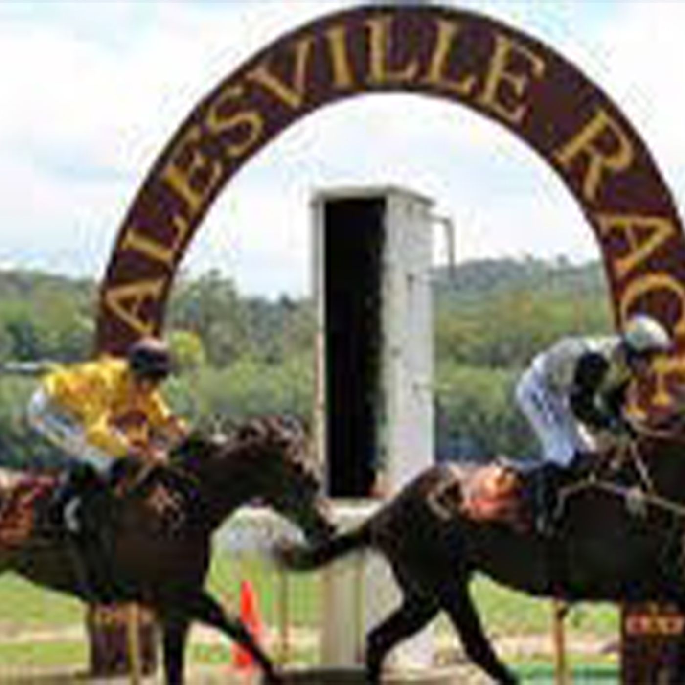 Healesville Race Club's John O'Neill chats to Andrew Kuuse re Picnic Racing episode artwork