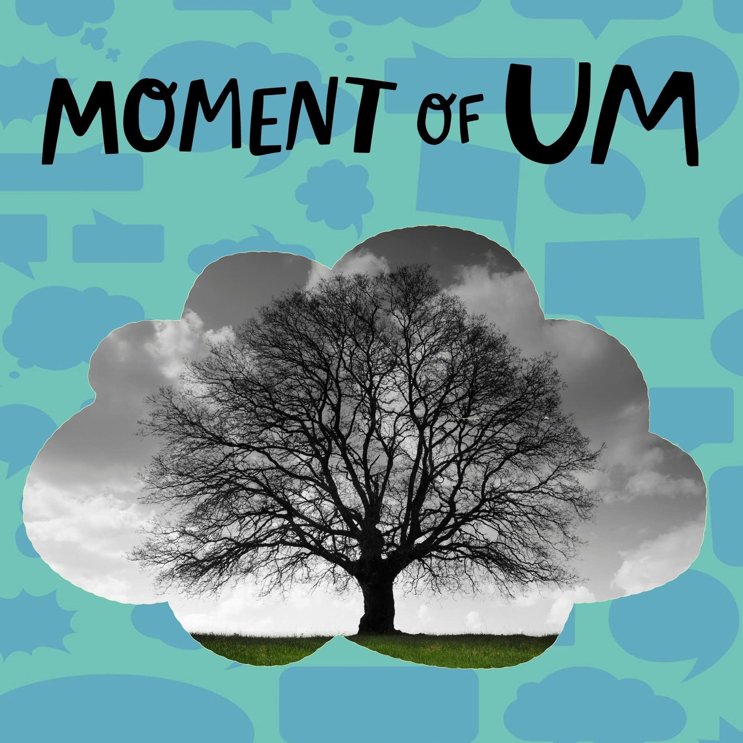 How old is the oldest tree?