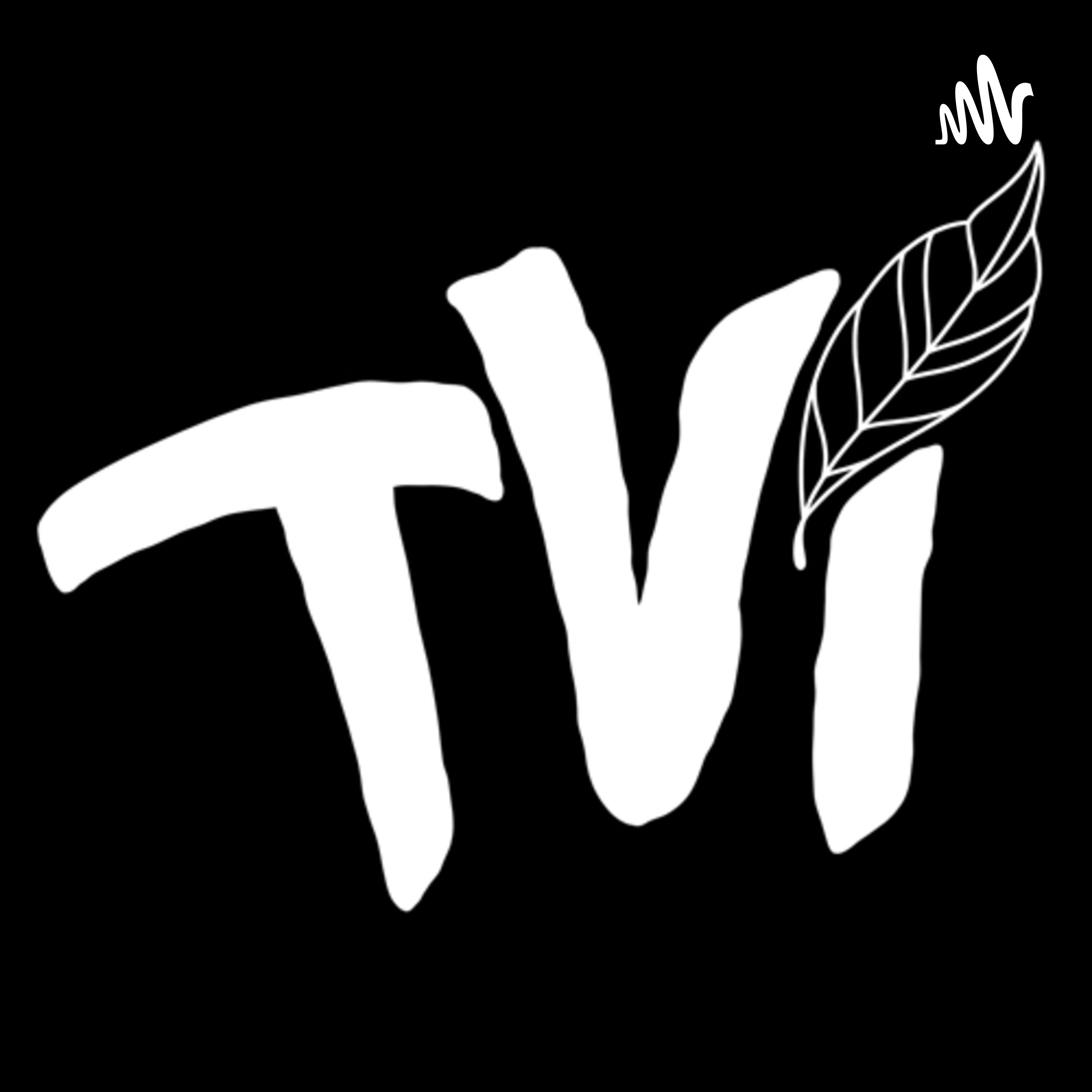 209. TVI with Andrew Bird episode artwork