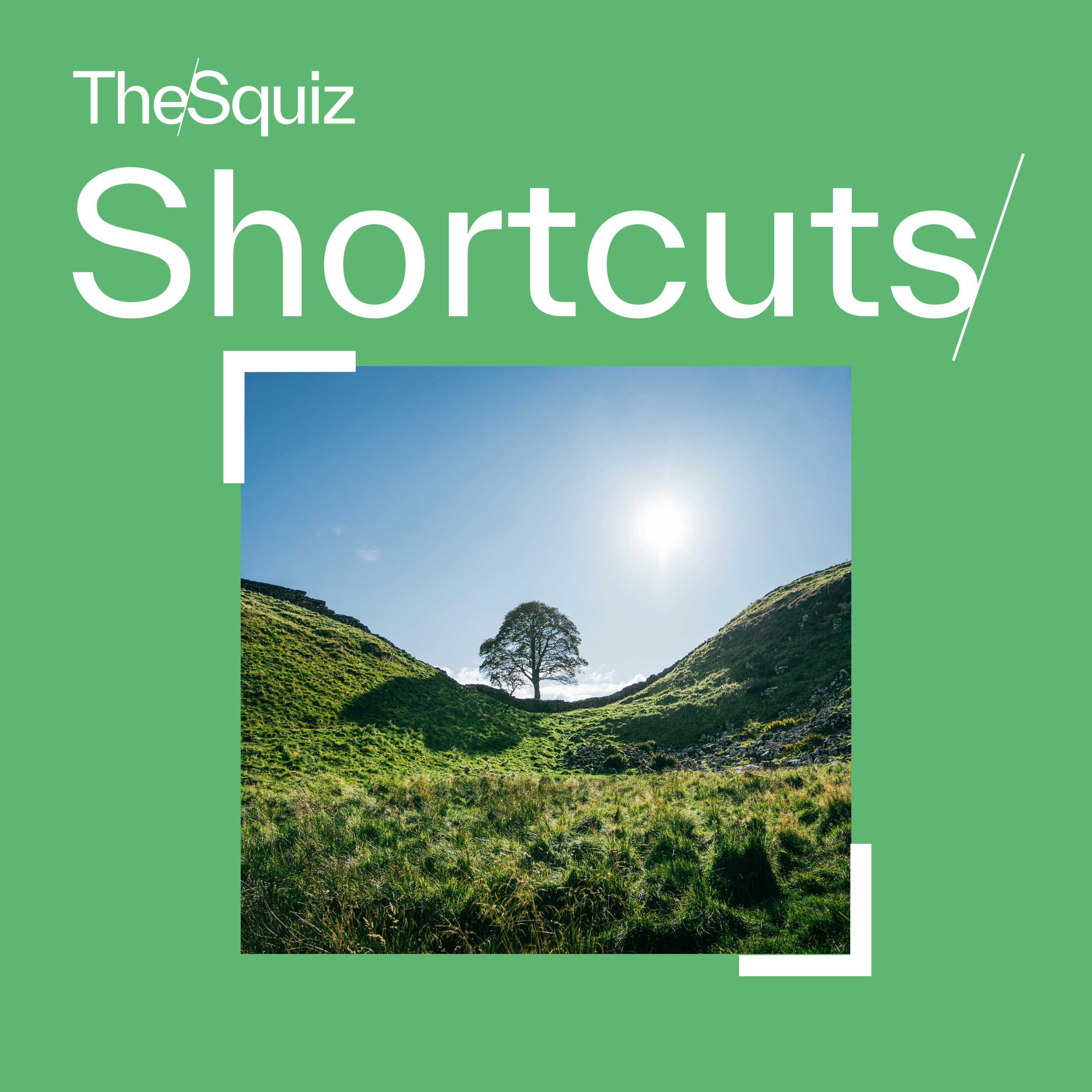 Your Shortcut to... The Sycamore Gap tree
