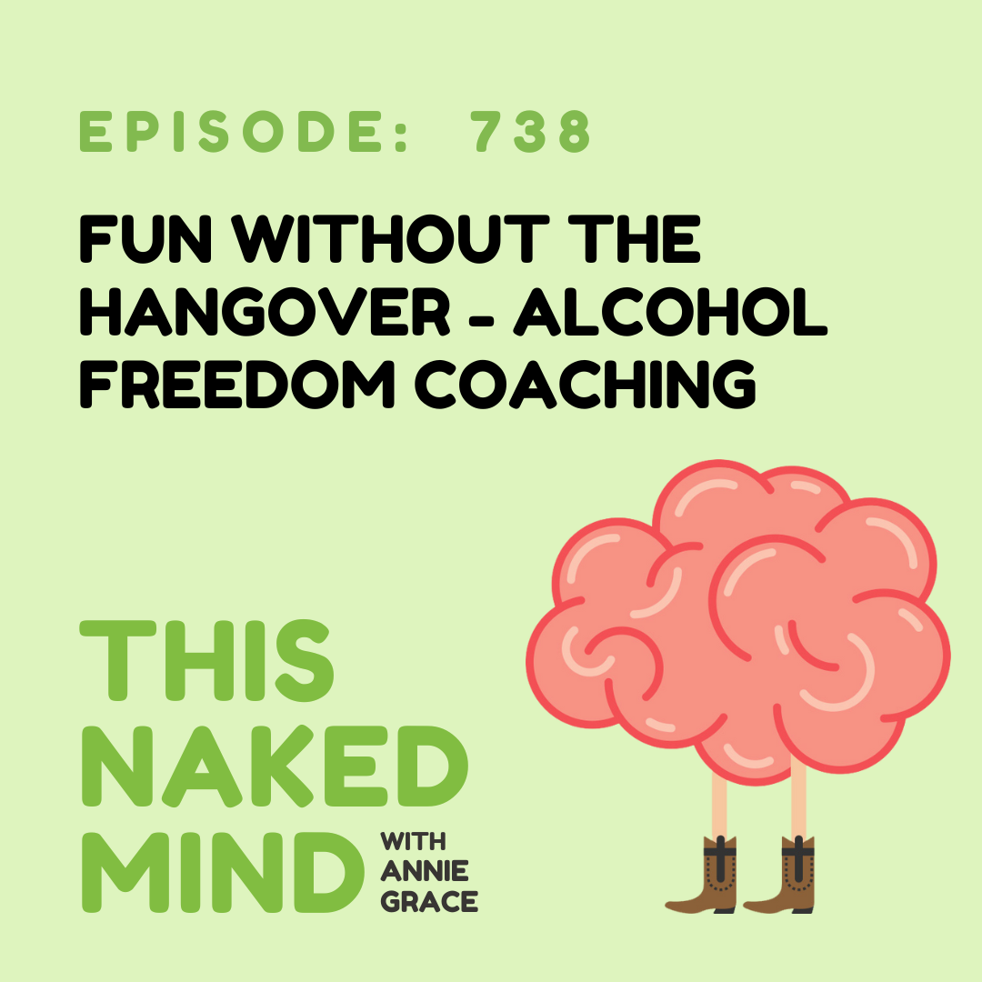 Fun Without the Hangover: Alcohol Freedom Coaching | E738