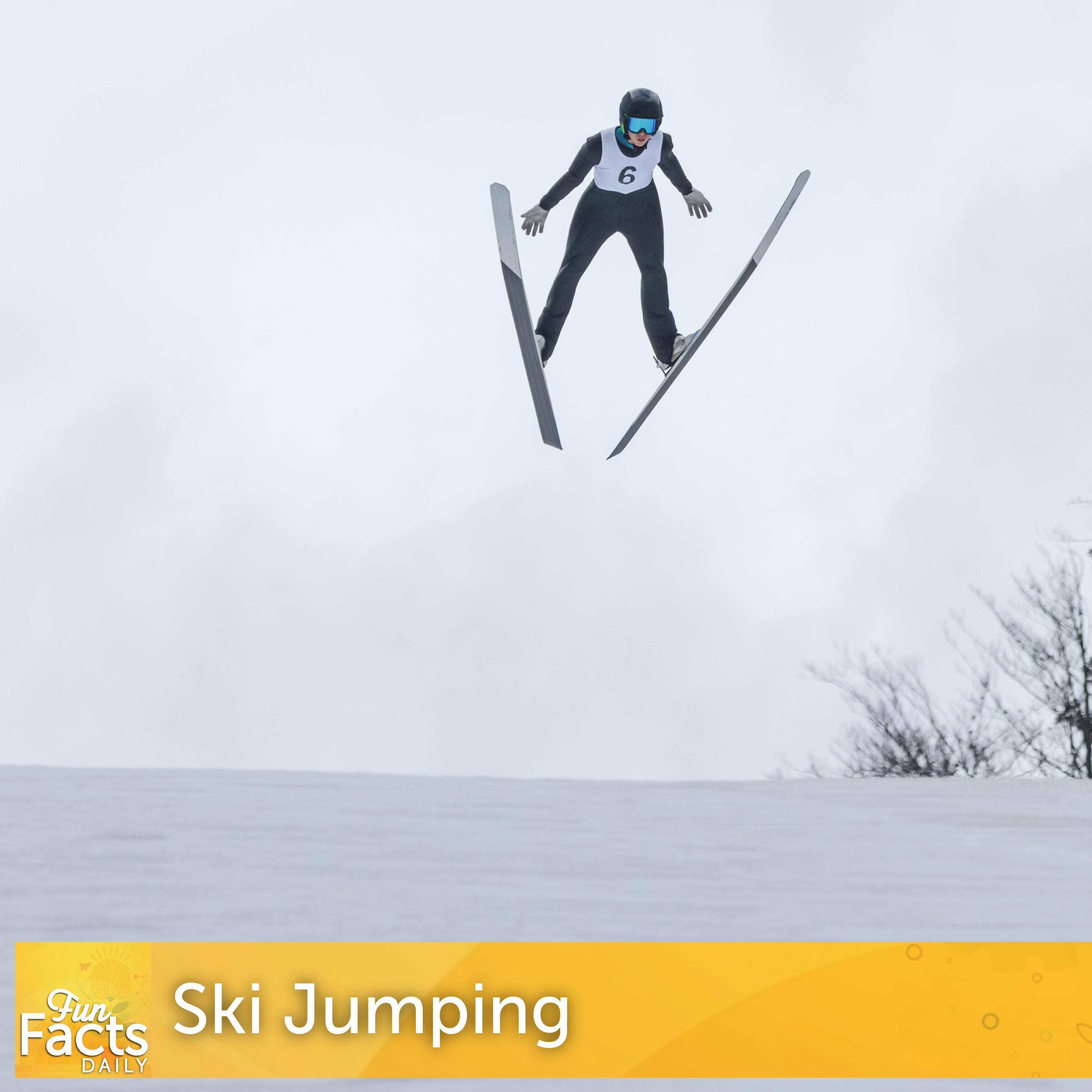 Fun Facts About Ski Jumping Fun Facts About Ski Jumping