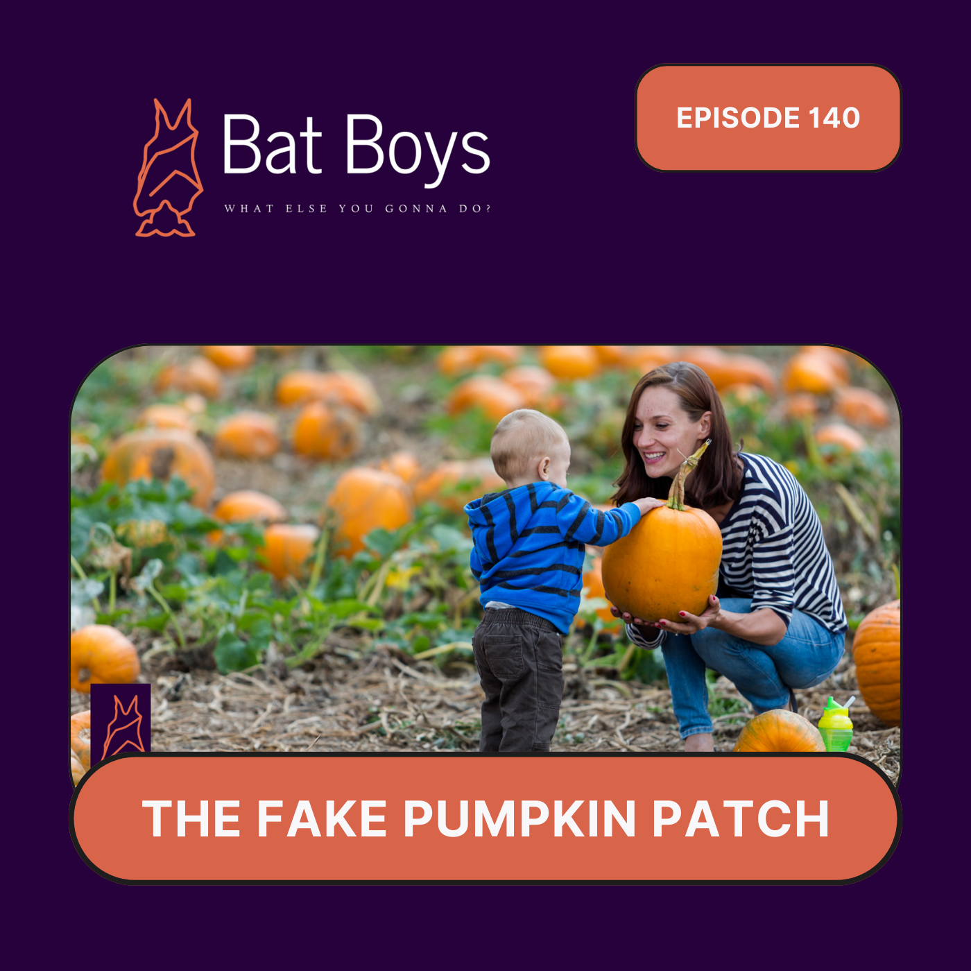 The Fake Pumpkin Patch