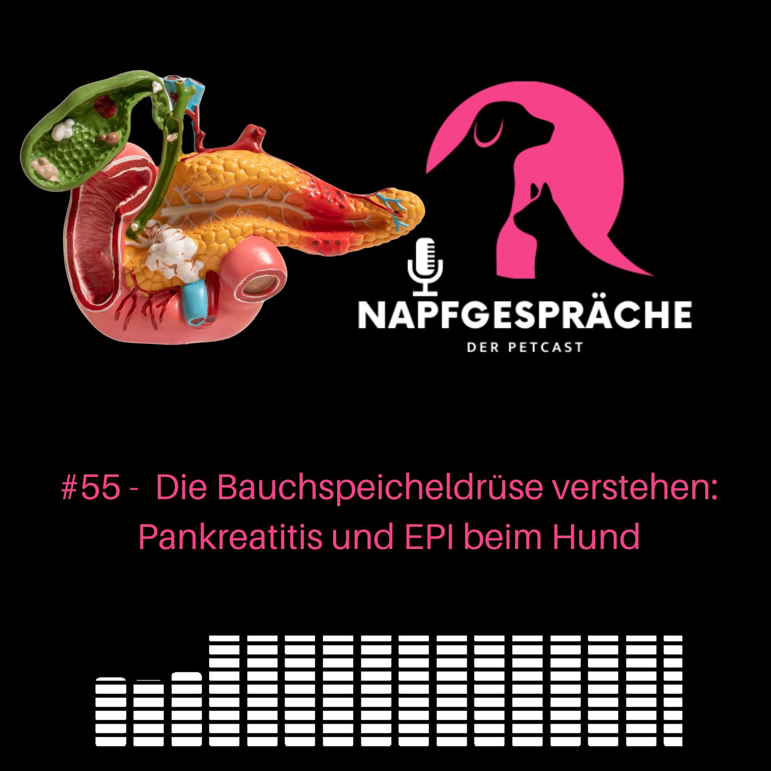#55 -  Die Bauchspeicheldrüse des Hundes verstehen