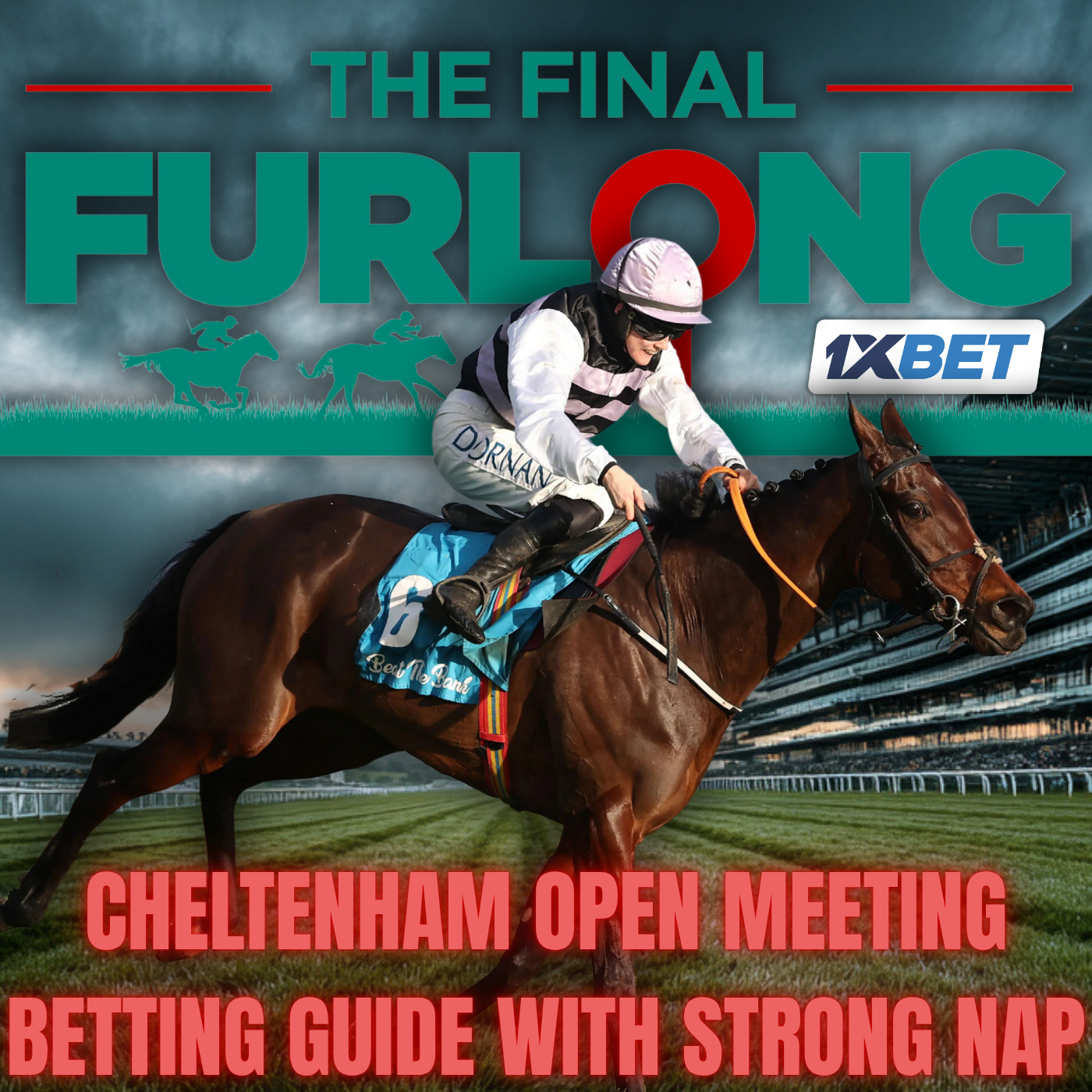 Cheltenham Open Meeting Betting Guide: 7/2 NAP, 6/5 Banker, 16/1 & 28/1 Tips | Big Odds & Bold Calls