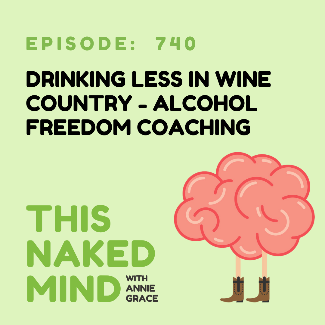 Drinking Less in Wine Country: Alcohol Freedom Coaching | E740