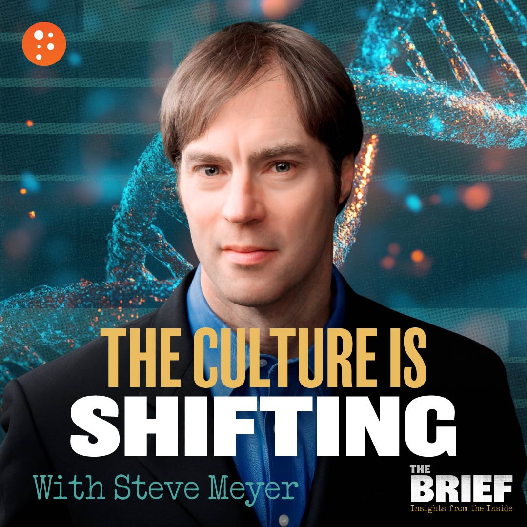 The Brief: Insights from the Inside | PragerU