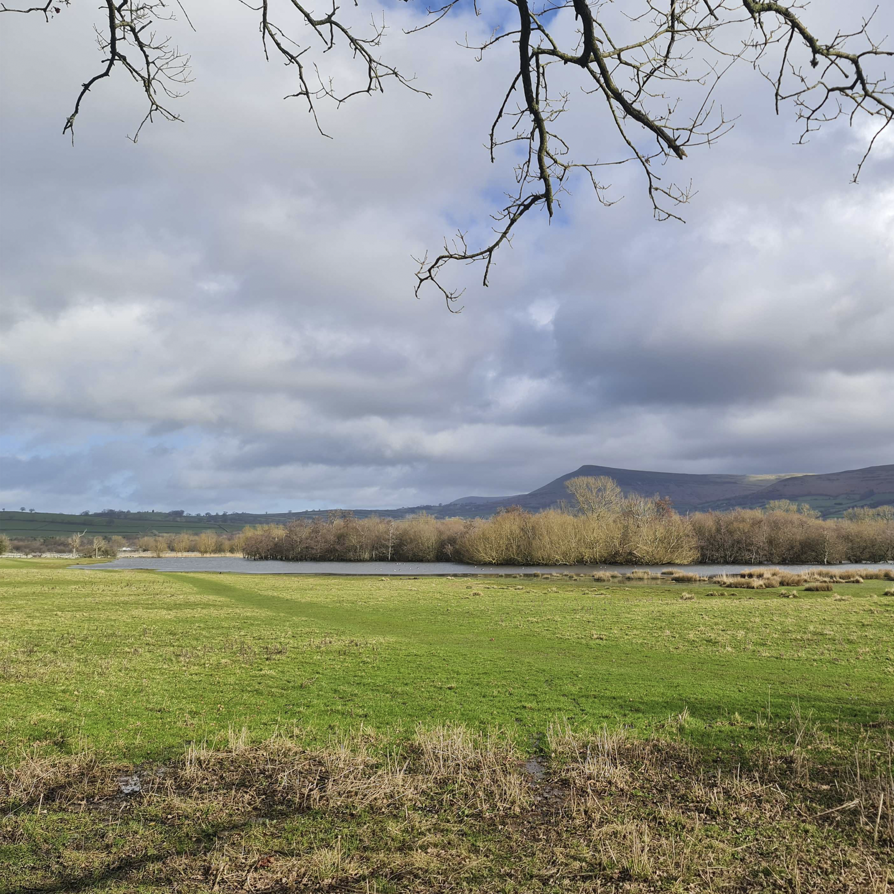 Sound Escape 265. Stirrings of spring on Llangorse Lake