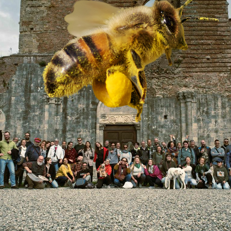 Il festival delle api ribelli. Con Adelaide Valentini