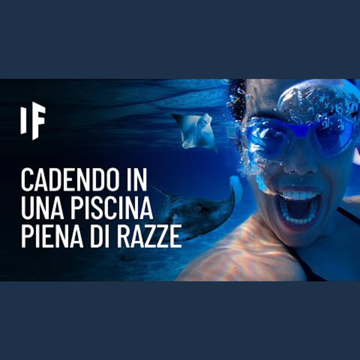 E se cadessi in una piscina colma di razze? episode artwork