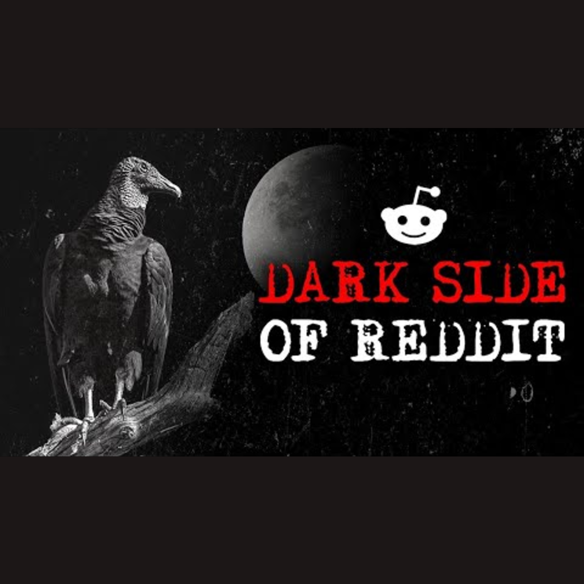 Volume 251: Disturbing True Stories From Reddit episode artwork