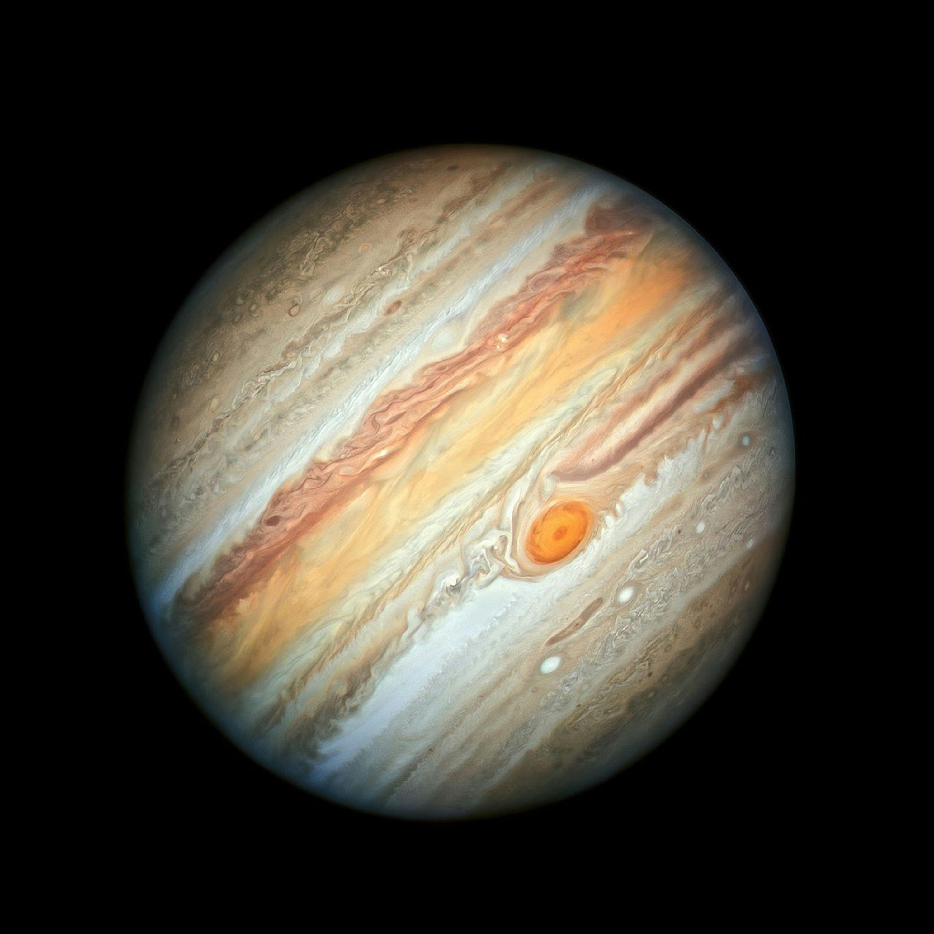 Jupiter Special: a celebration of the gas giant