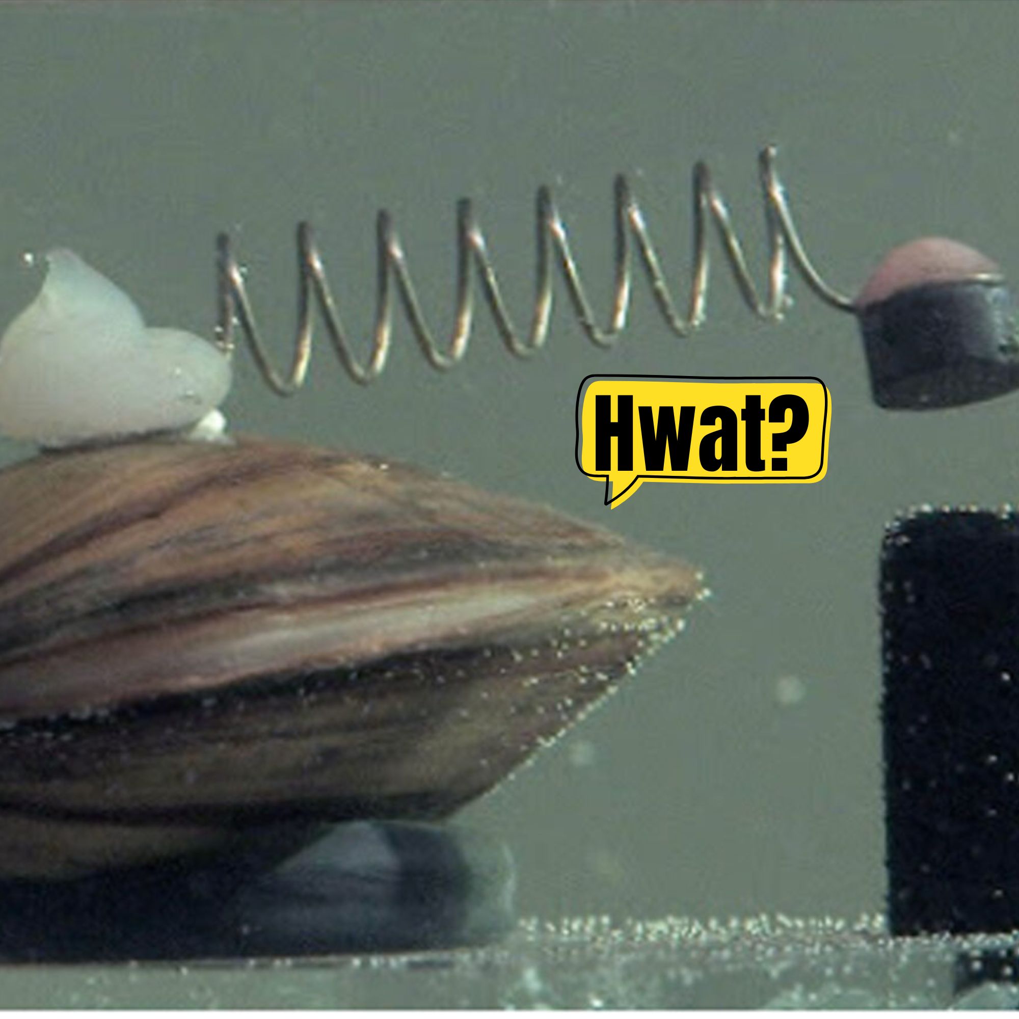 19: Mow Drunkenly for the Bees!