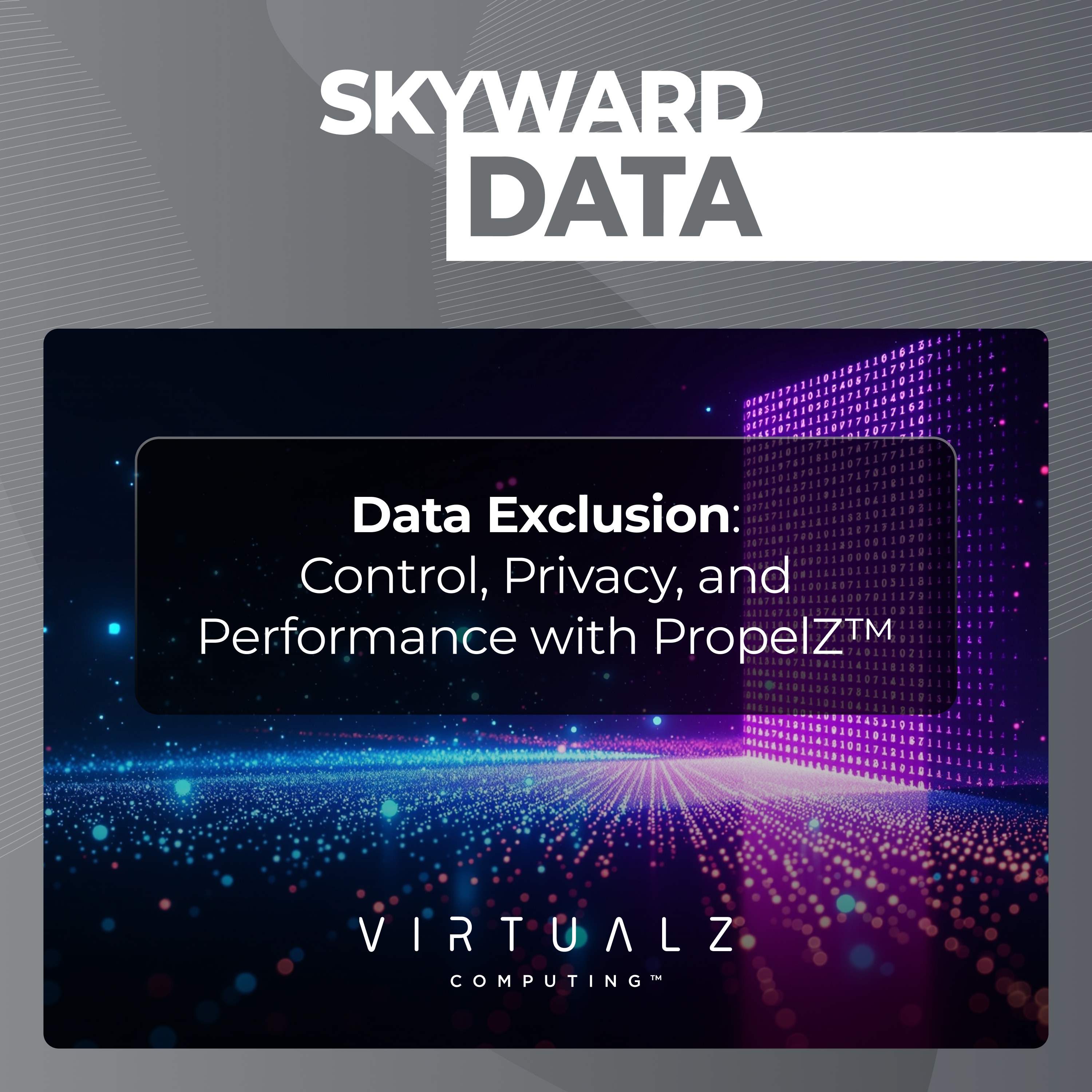 Skyward Data