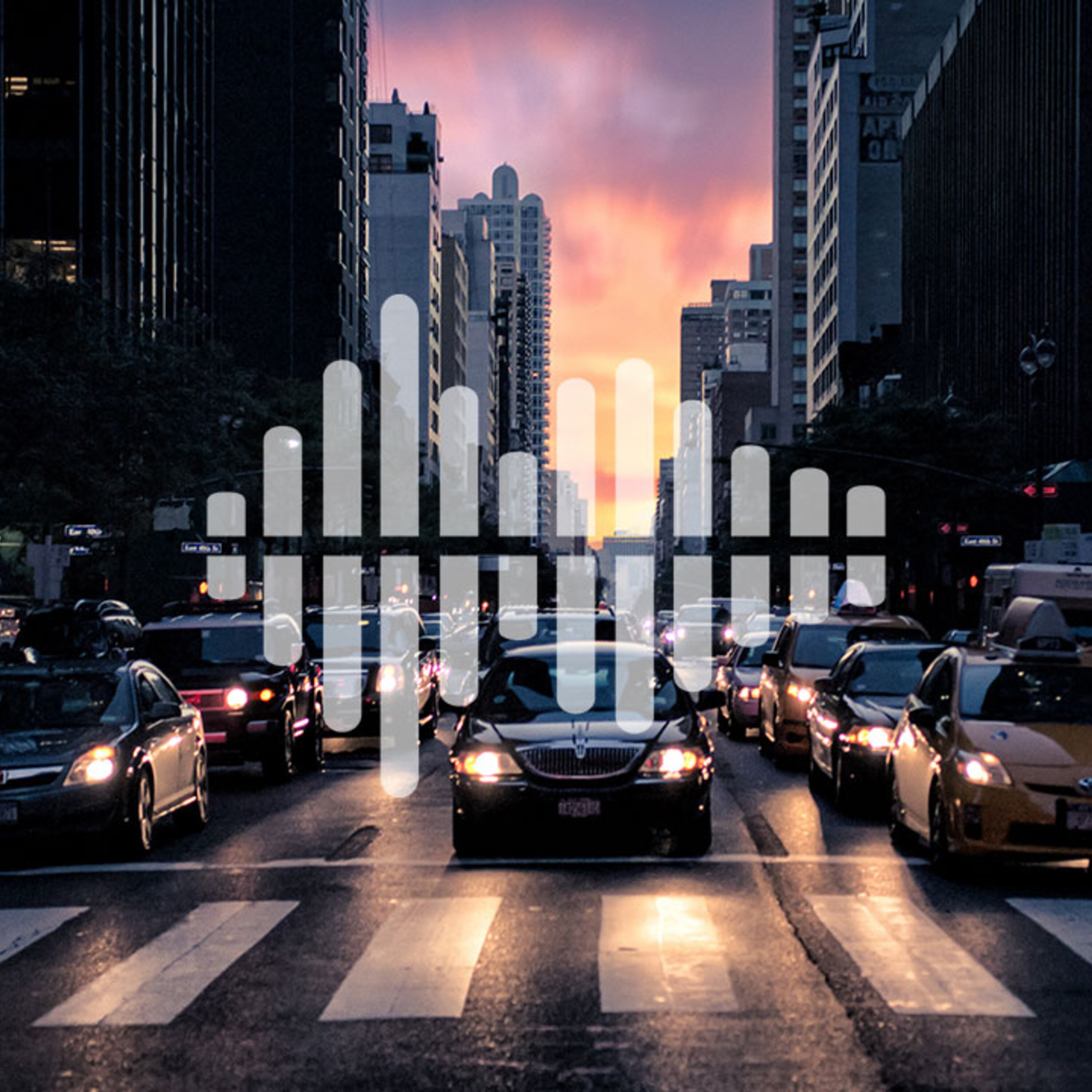 Building a green city in a biodiversity hot spot, and live monitoring vehicle emissions