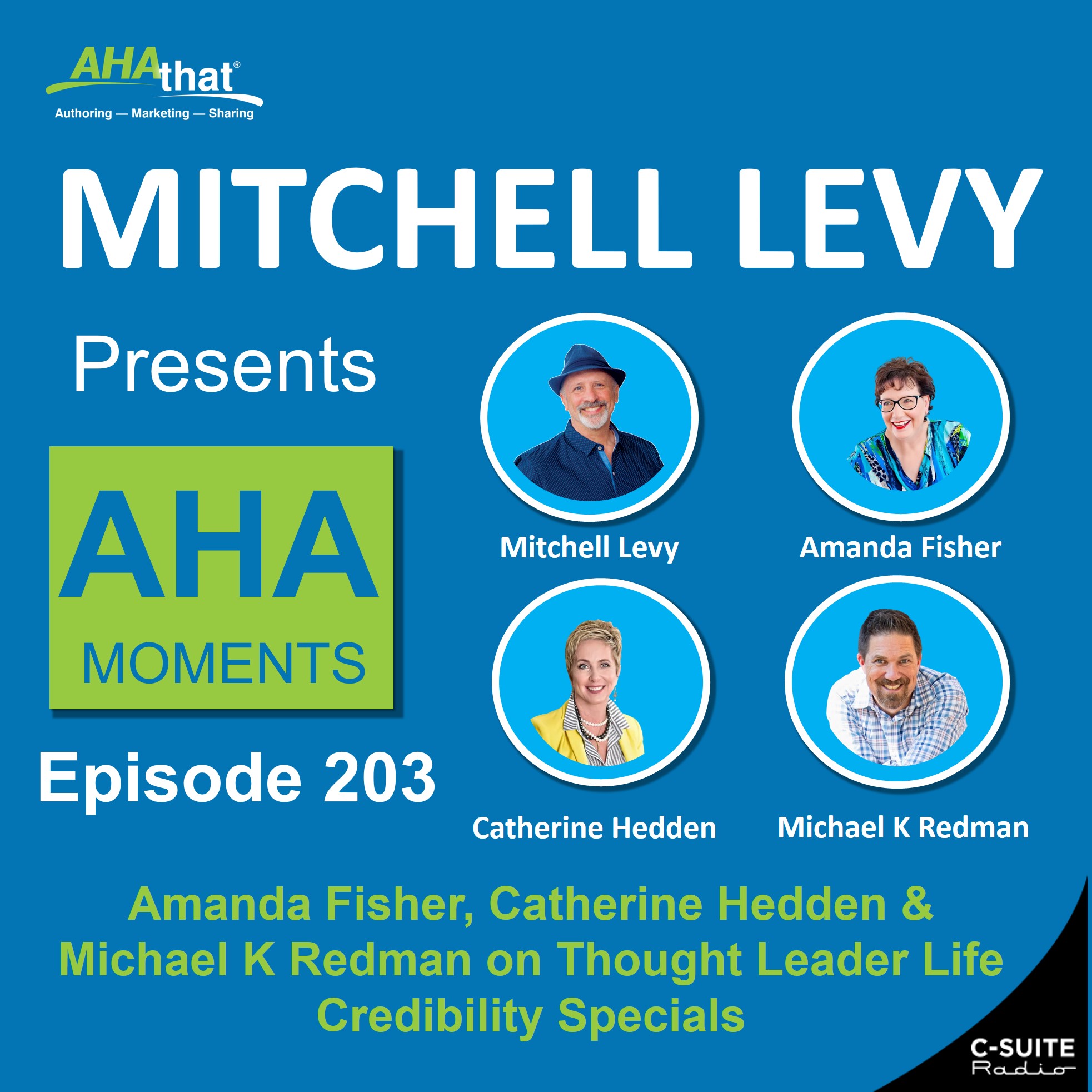 Mitchell Levy Presents AHA Moments
