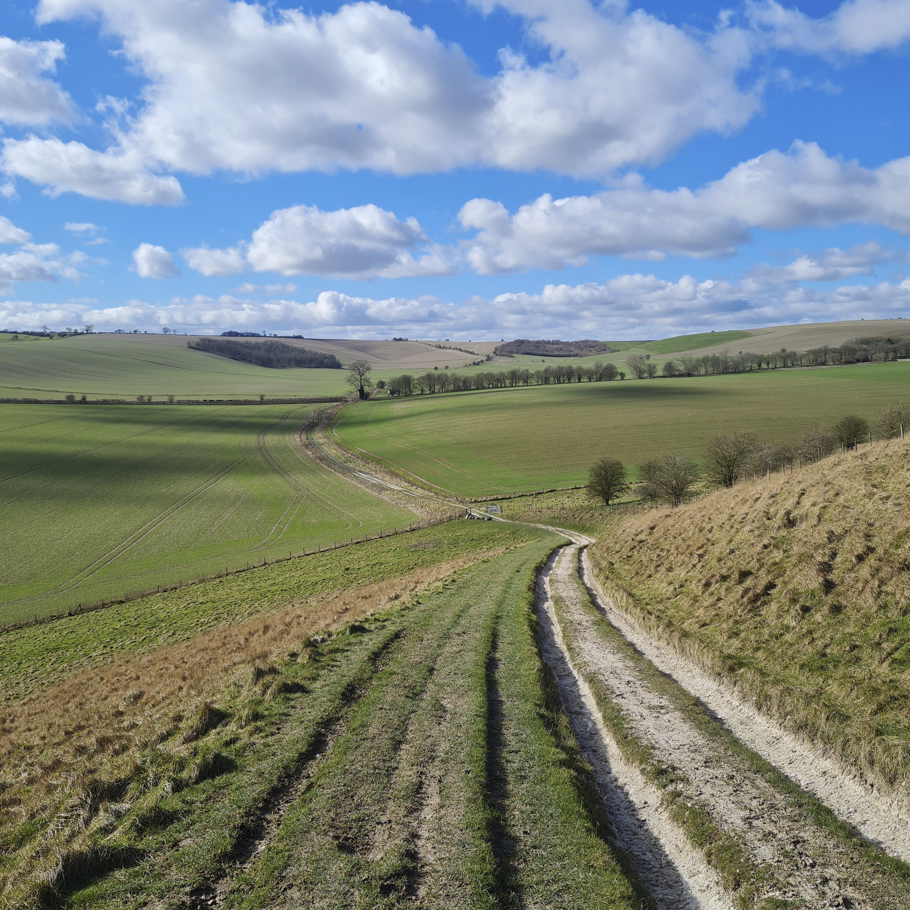 288. A quest to explore the ancient burial mounds of the Marlborough Downs