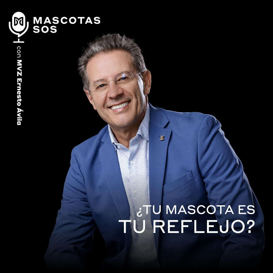 ¿Tu mascota es tu reflejo?