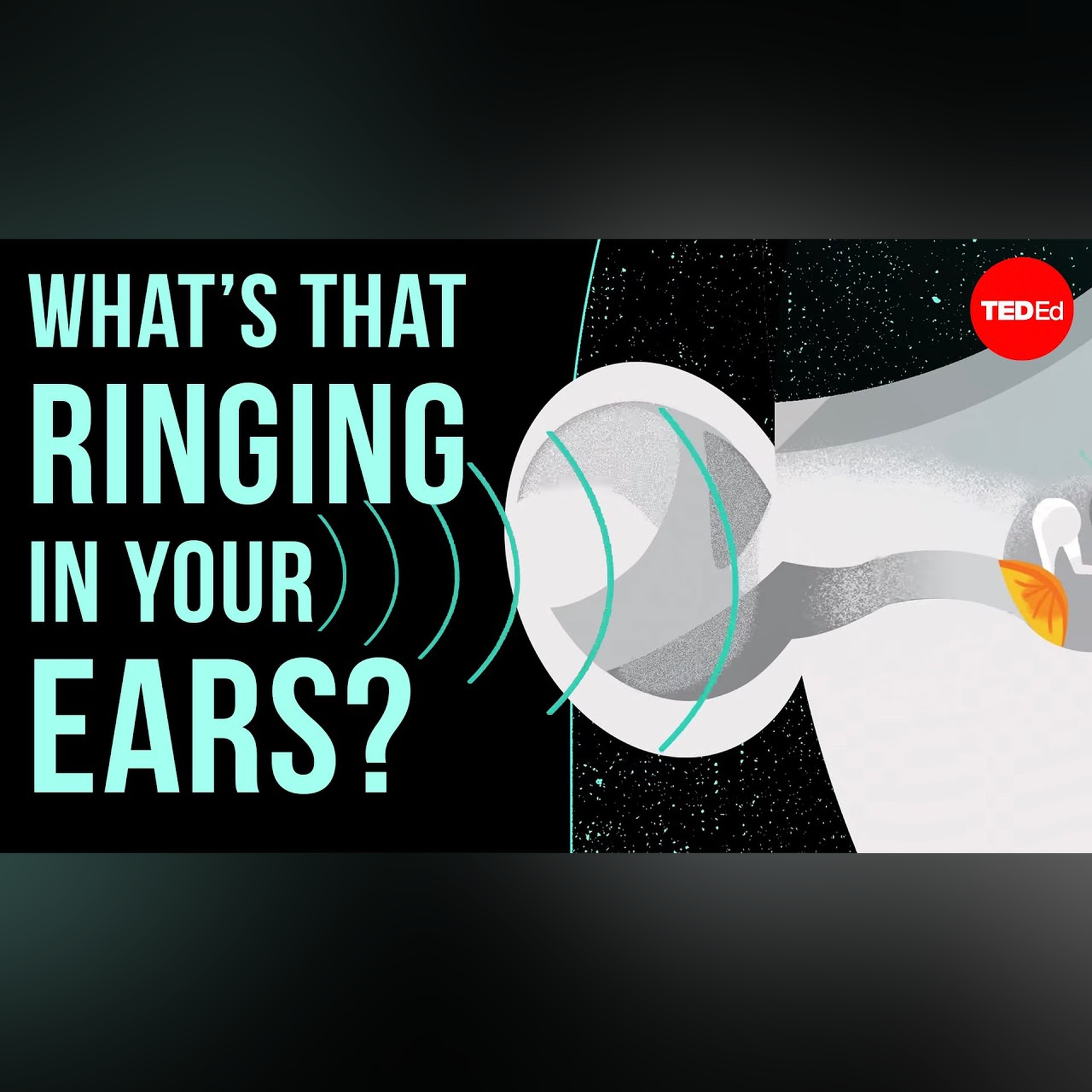 What’s that ringing in your ears? - Marc Fagelson