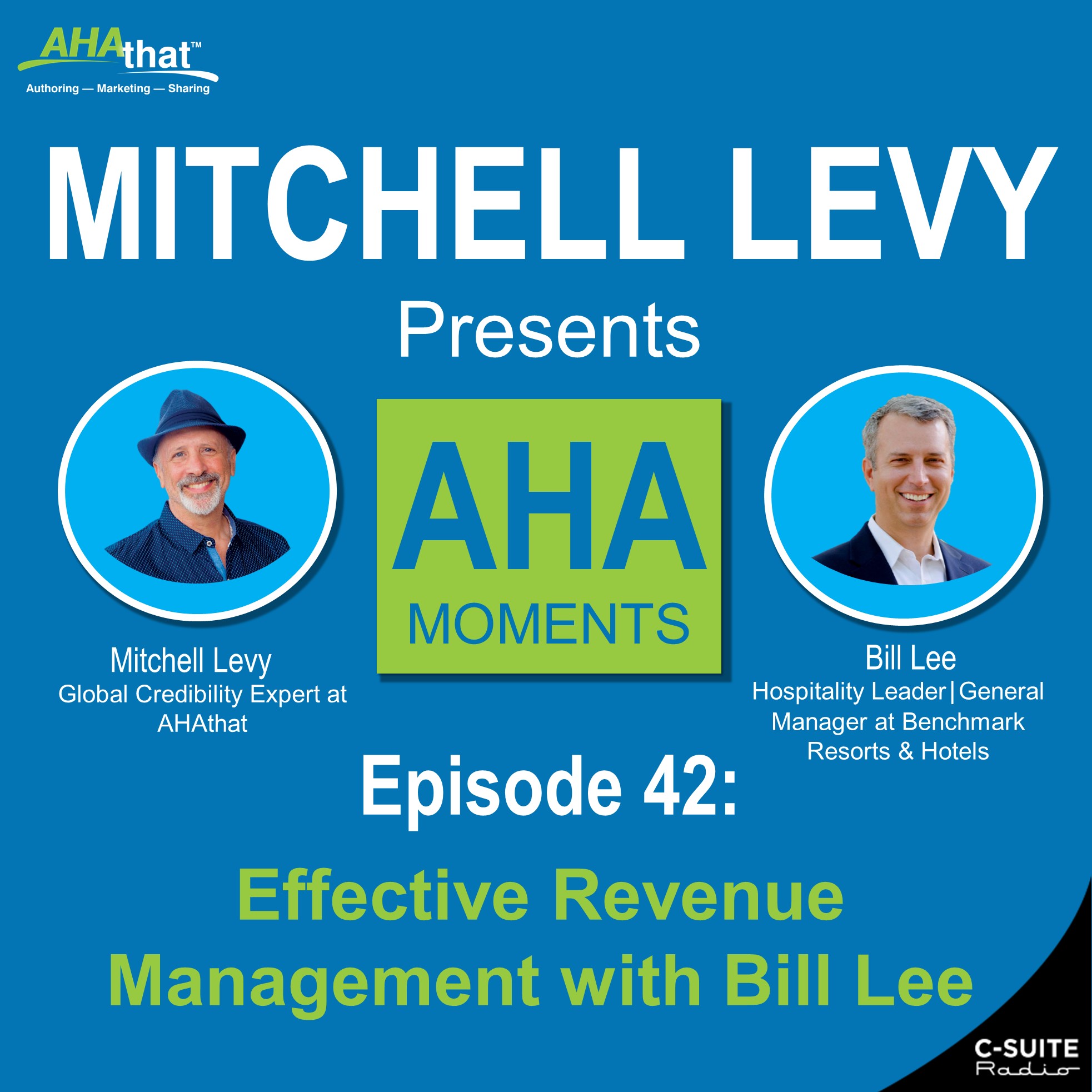 Mitchell Levy Presents AHA Moments