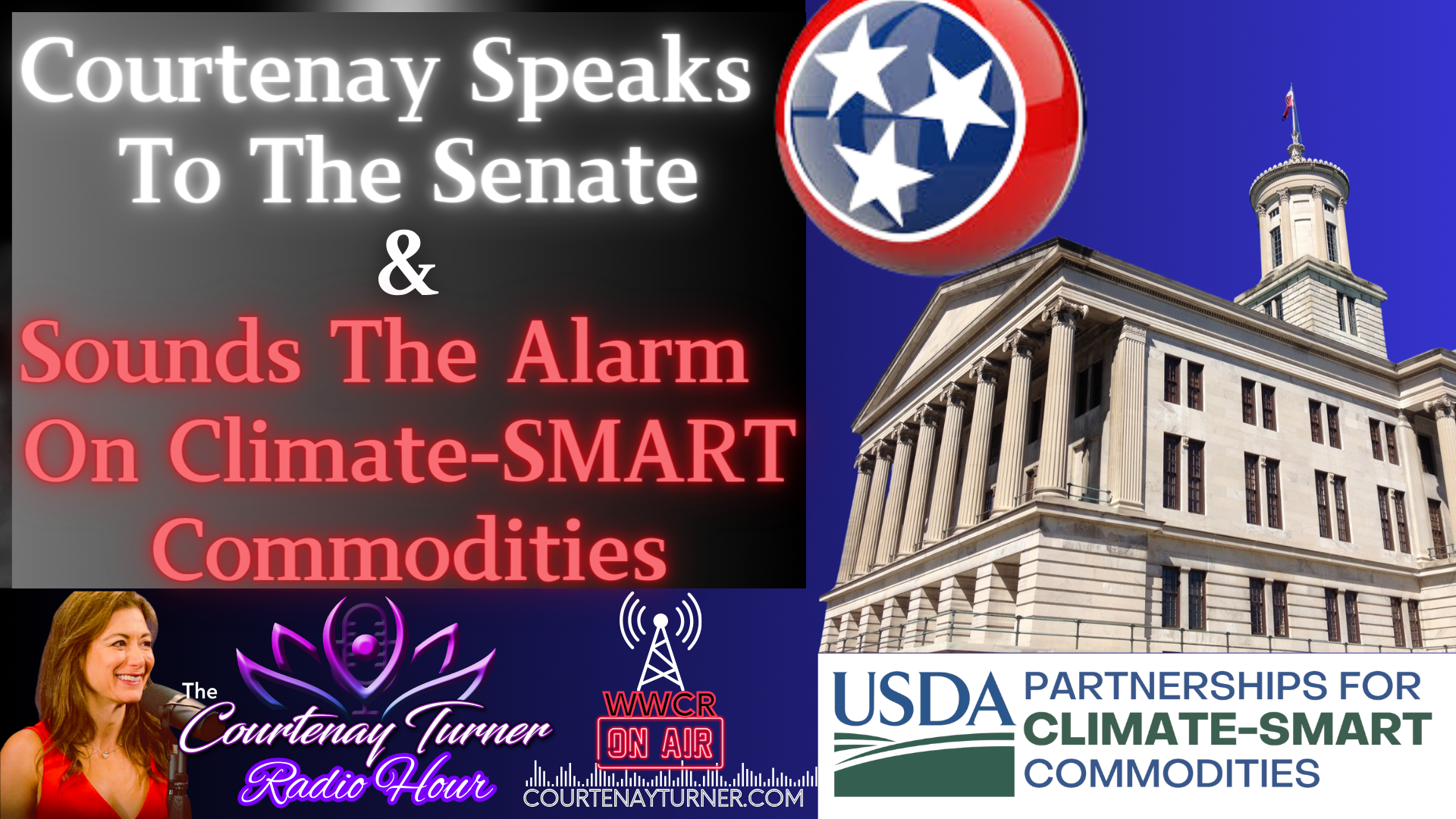 The Courtenay Turner Podcast