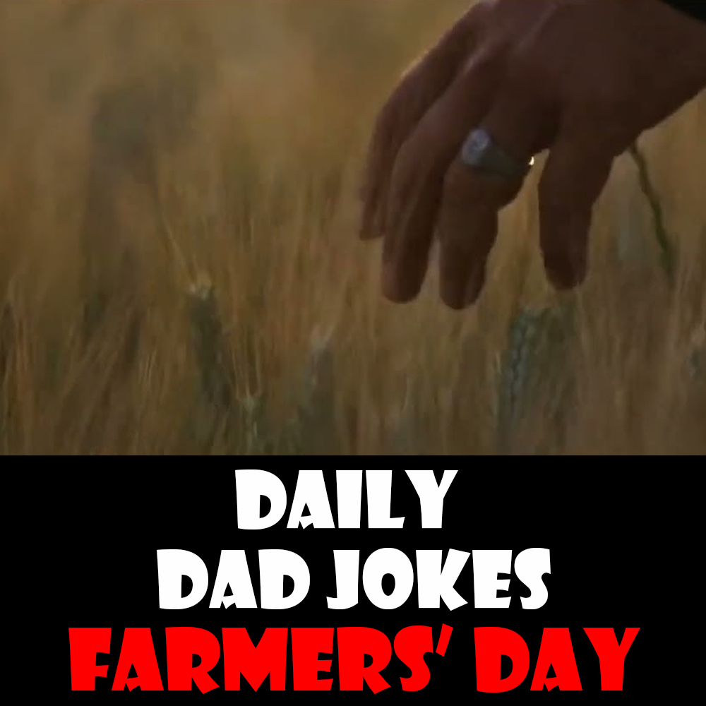 National Farmers' Day! 55 full grown dad jokes! 12 October 2026 episode artwork