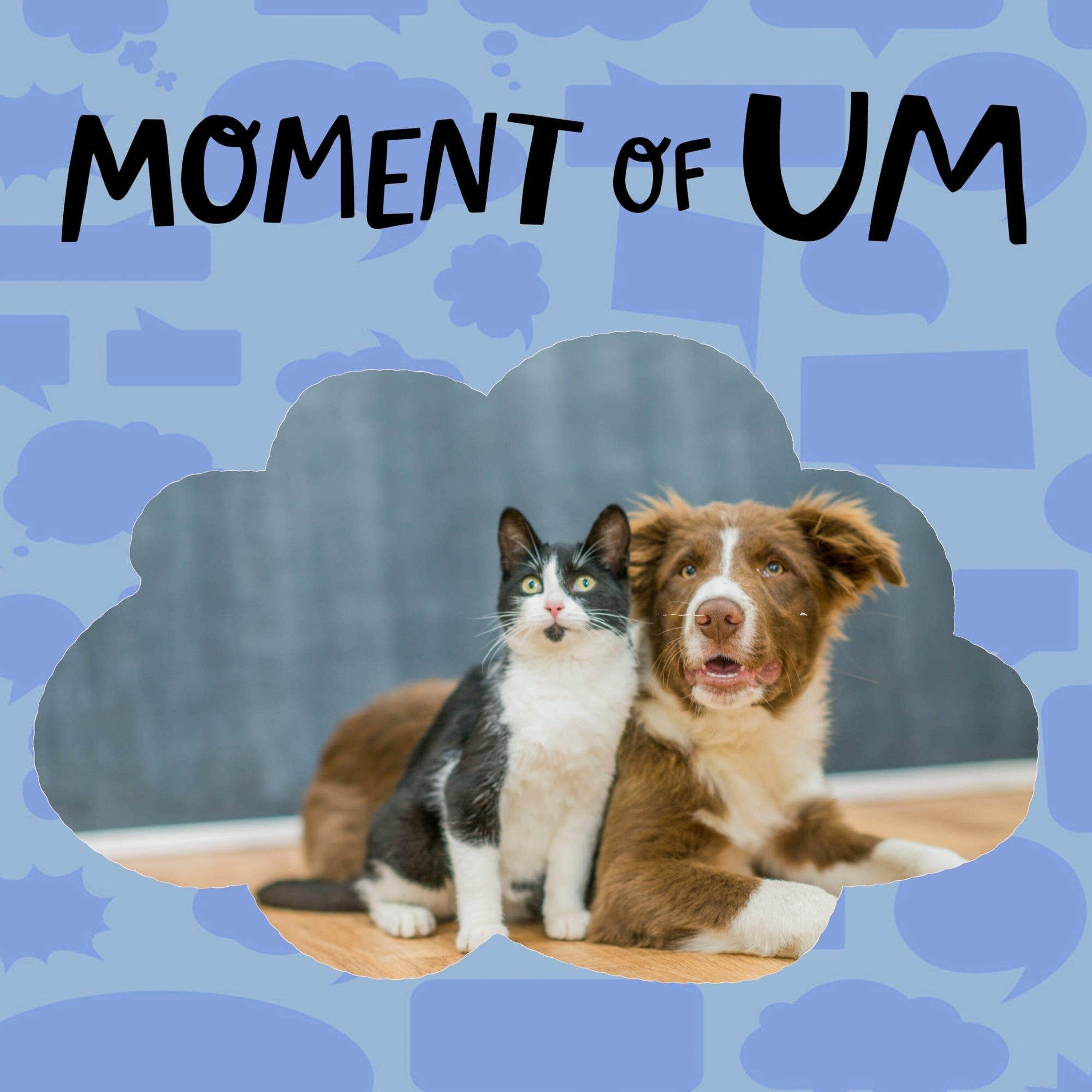 Do dogs and cats have butt cheeks?