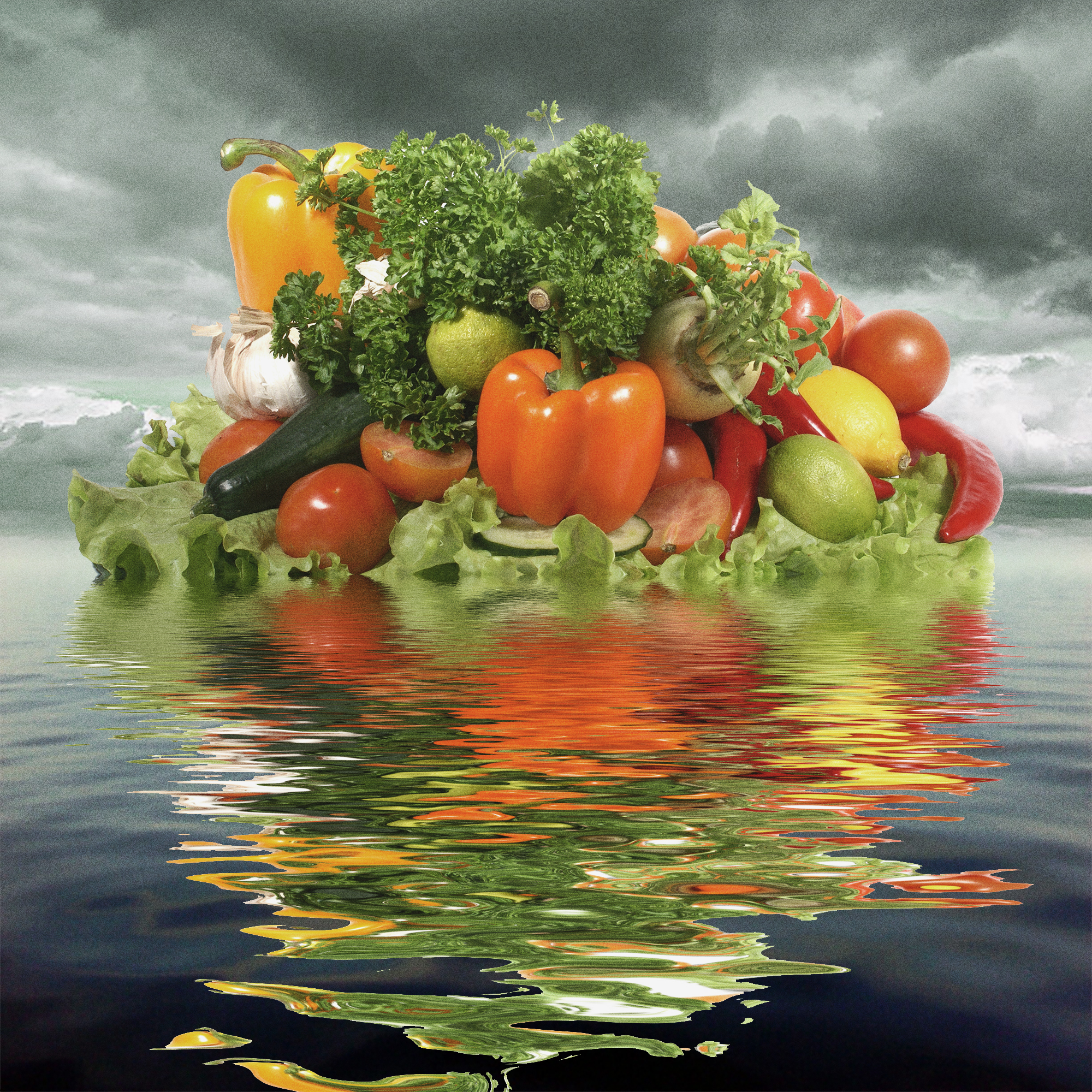 Thumbnail for "About the Pond".