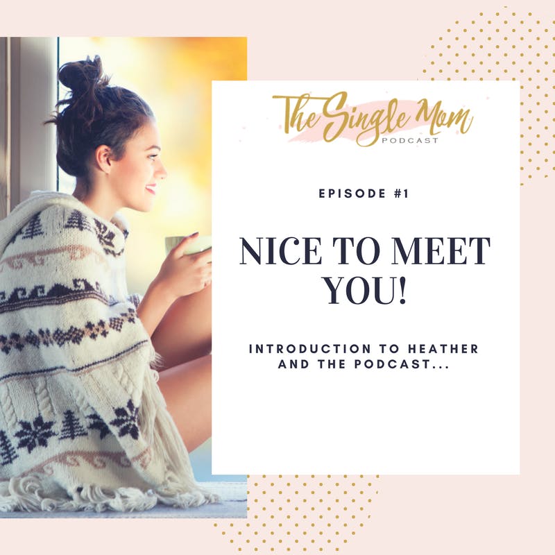 Single Mom Success 001 - Intro and Nice to Meet You