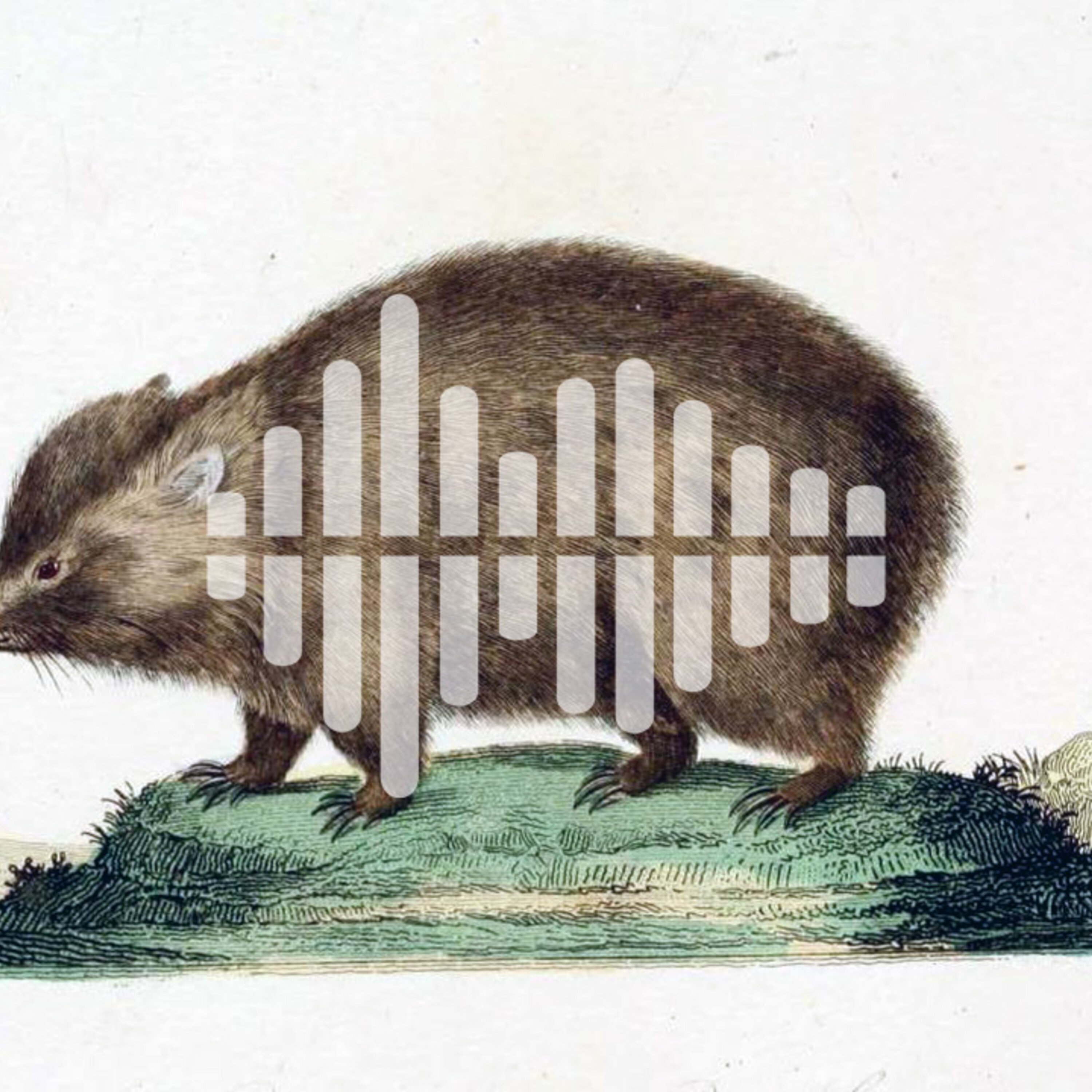 Top online stories, the state of marijuana research, and Afrofuturism