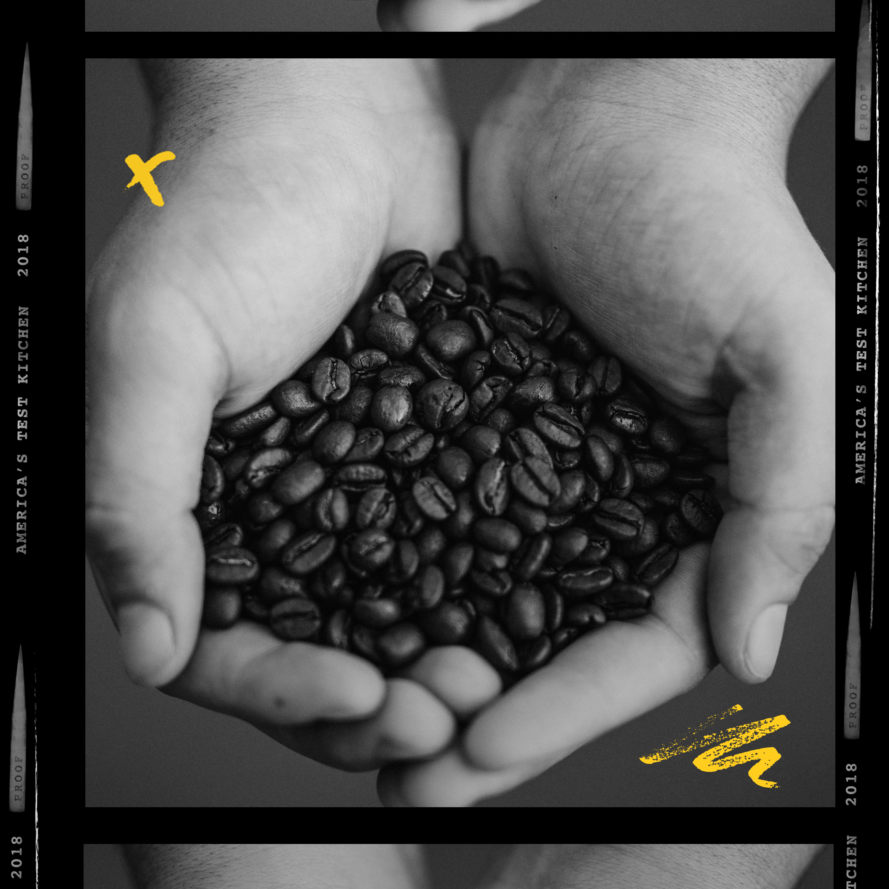 Brewing a Revolution: The Origins of Fair Trade Coffee