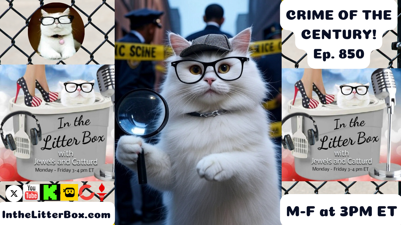 CRIME OF THE CENTURY! | In the Litter Box w/ Jewels & Catturd – Ep. 850 – 7/28/2025