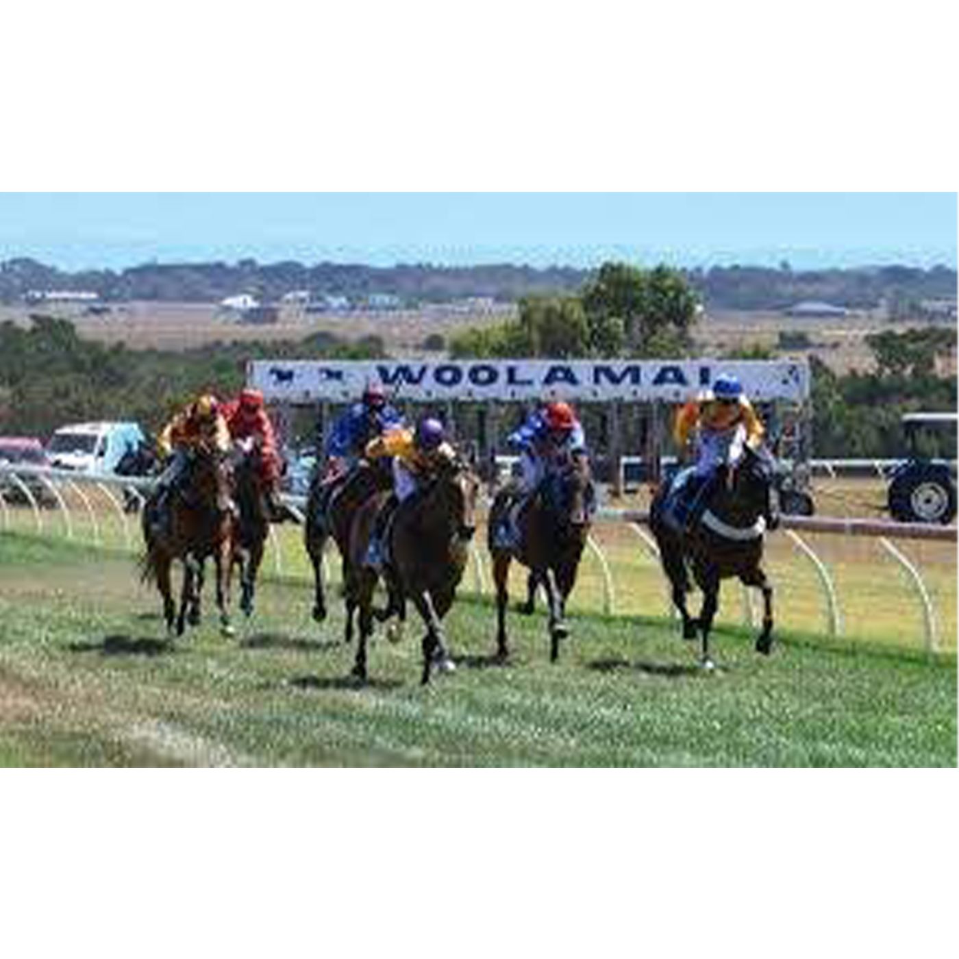 Woolamai Races Adam Olszański chats to Andrew Kuuse re Picnic Racing episode artwork
