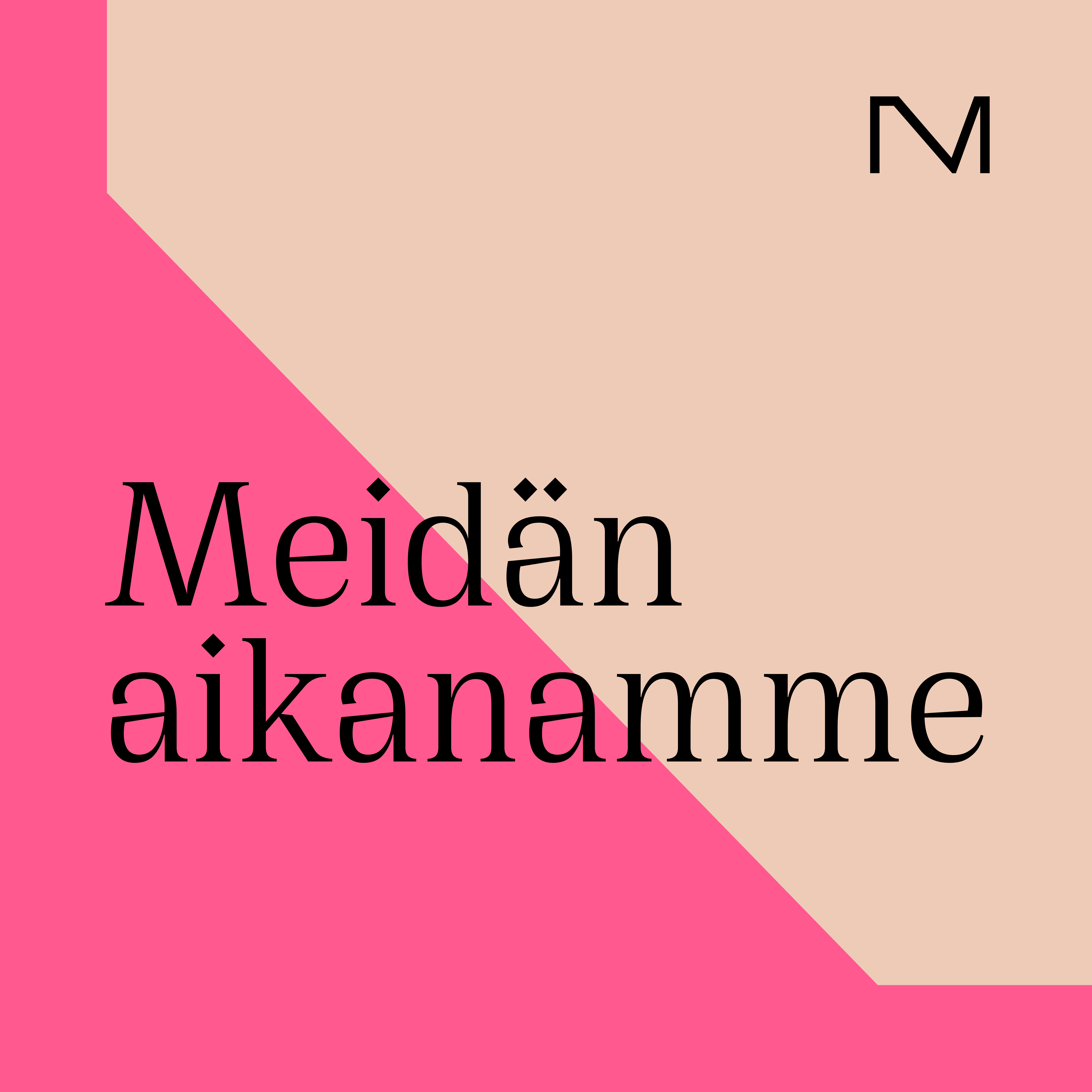 Meidän aikanamme 